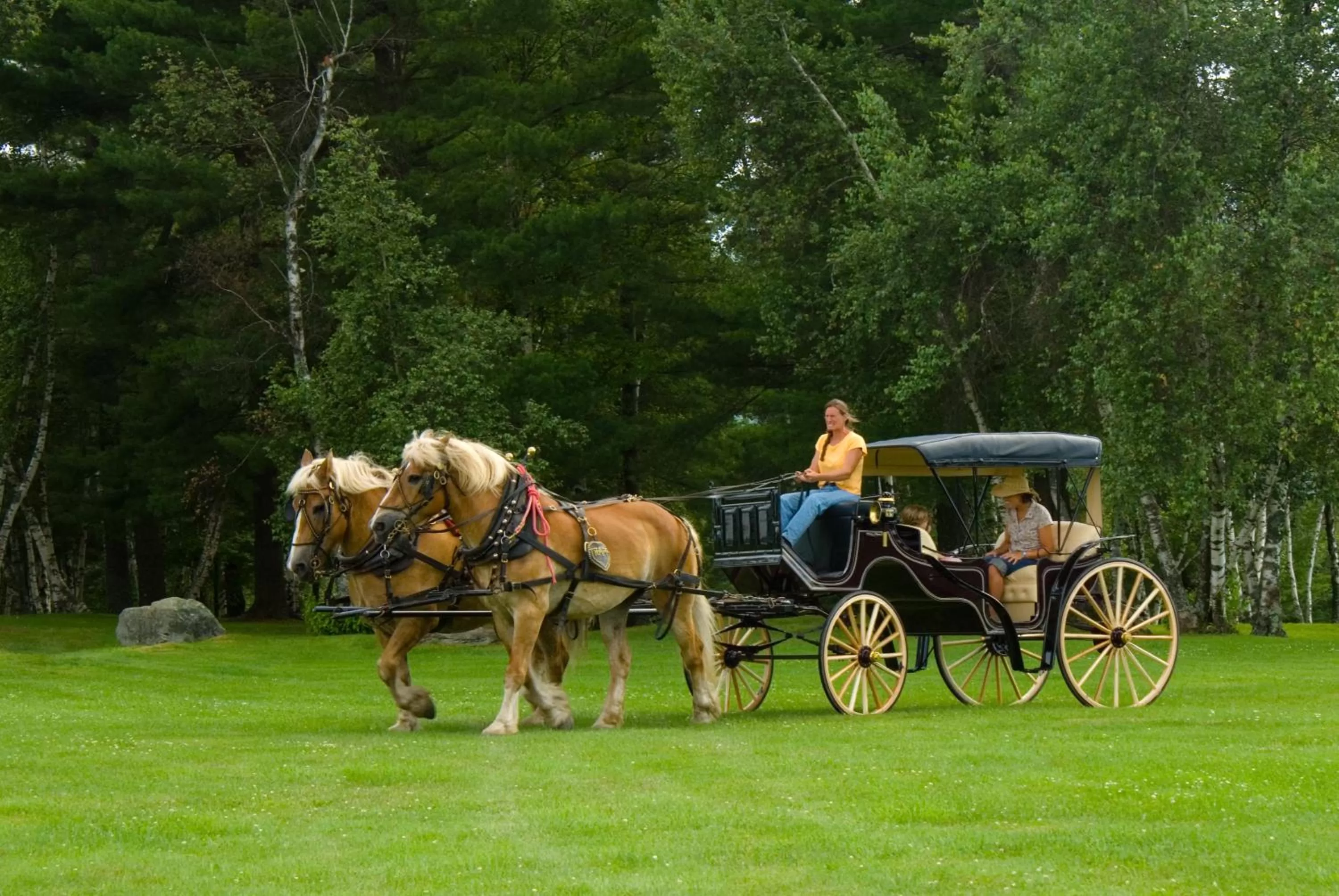 Activities in von Trapp Family Lodge & Resort