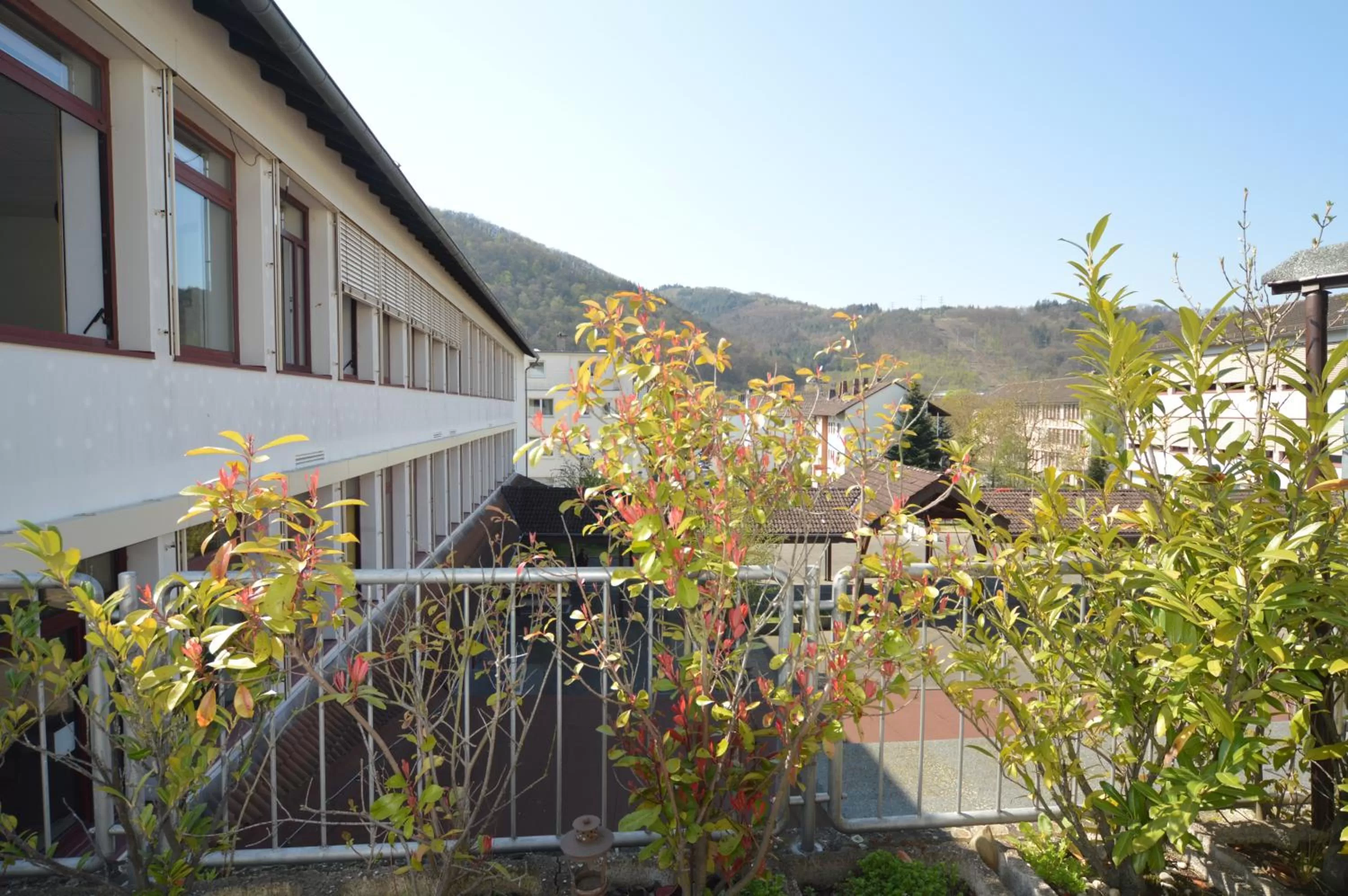 Balcony/Terrace in Aktivhotel Alter Kaiser