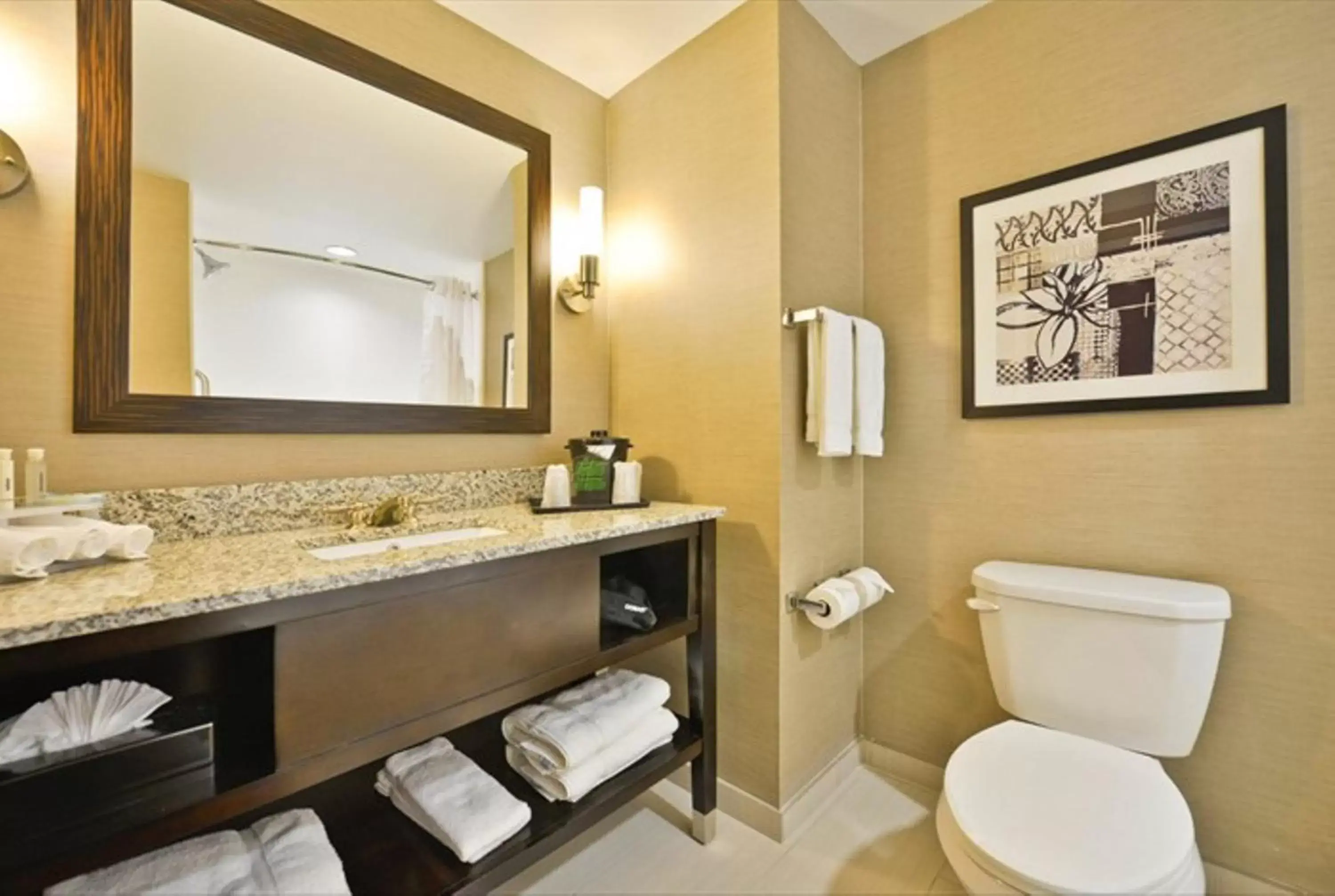 King Suite in Holiday Inn Express & Suites Utica by IHG King Suite in Holiday Inn Express & Suites Utica by IHG