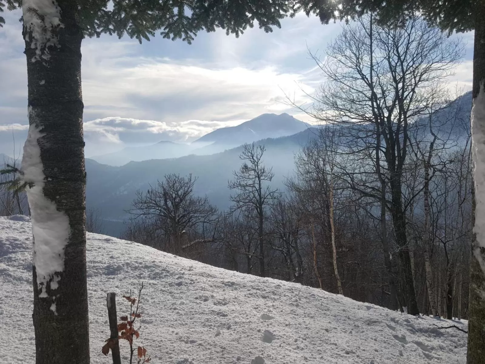 Natural landscape, Winter in Ca-Jo Bed and Breakfast