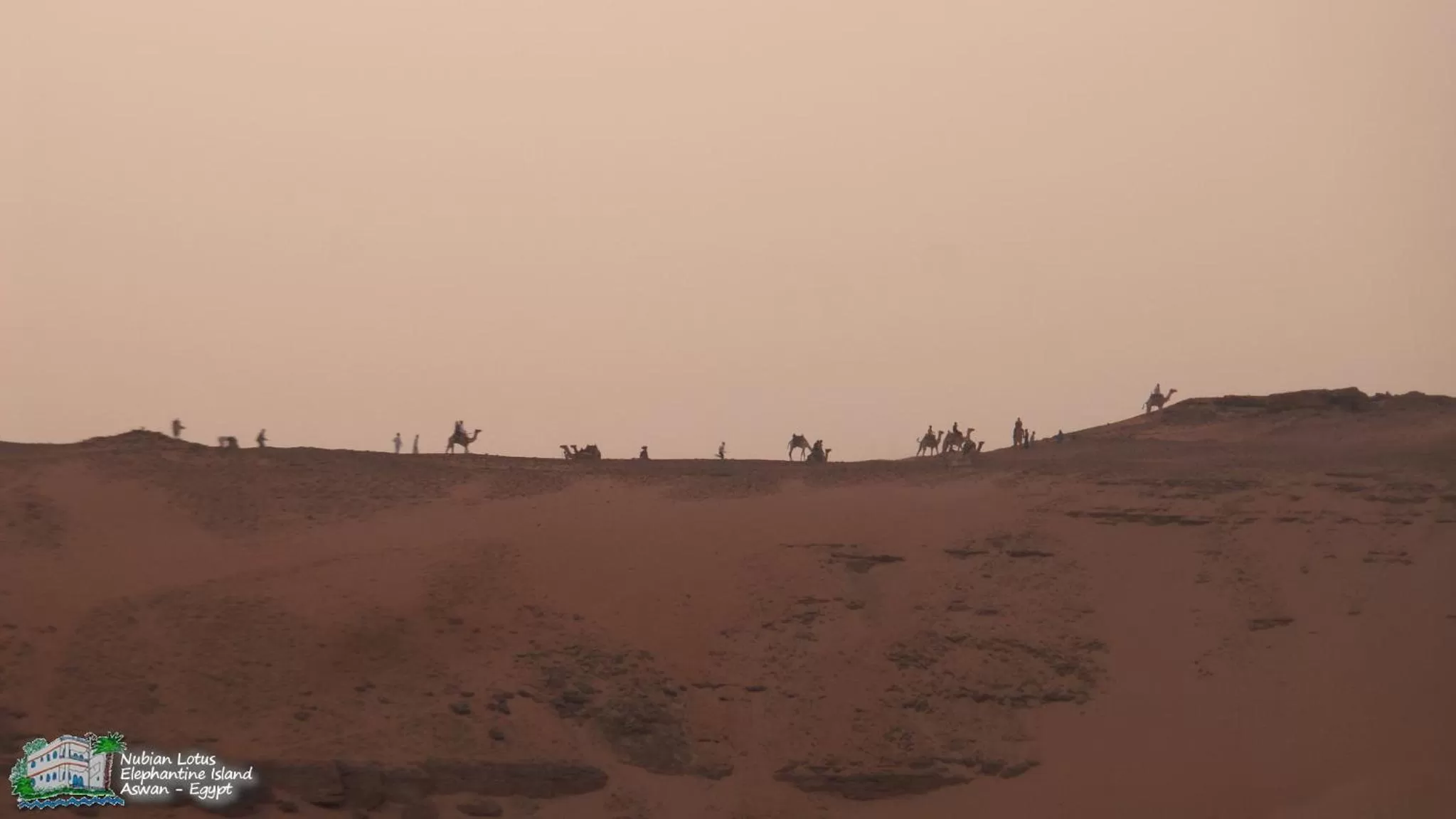 Property building in Nubian Lotus