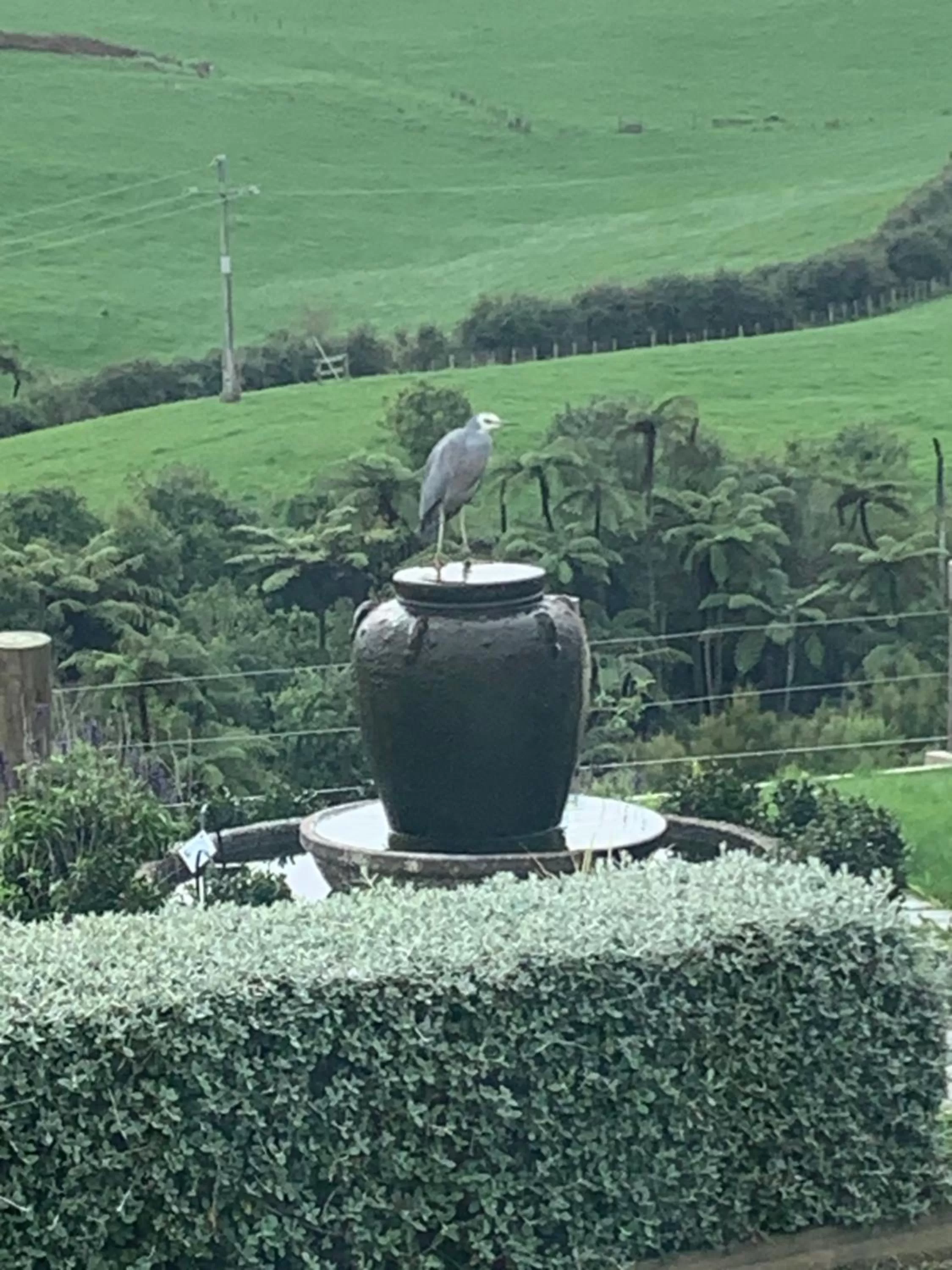 View (from property/room) in Arohanui Rural Retreat B&B