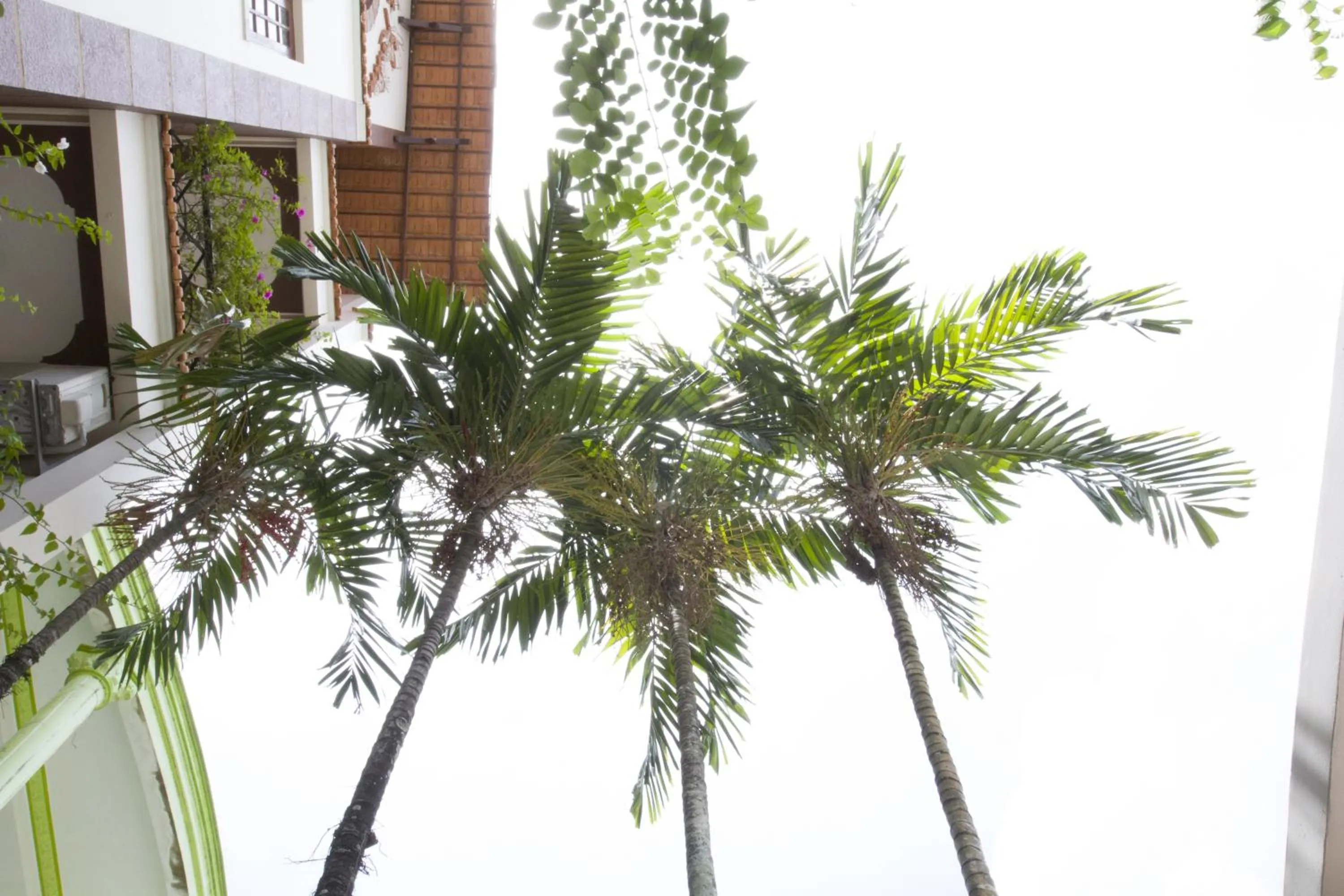 Garden in Spring Hotel