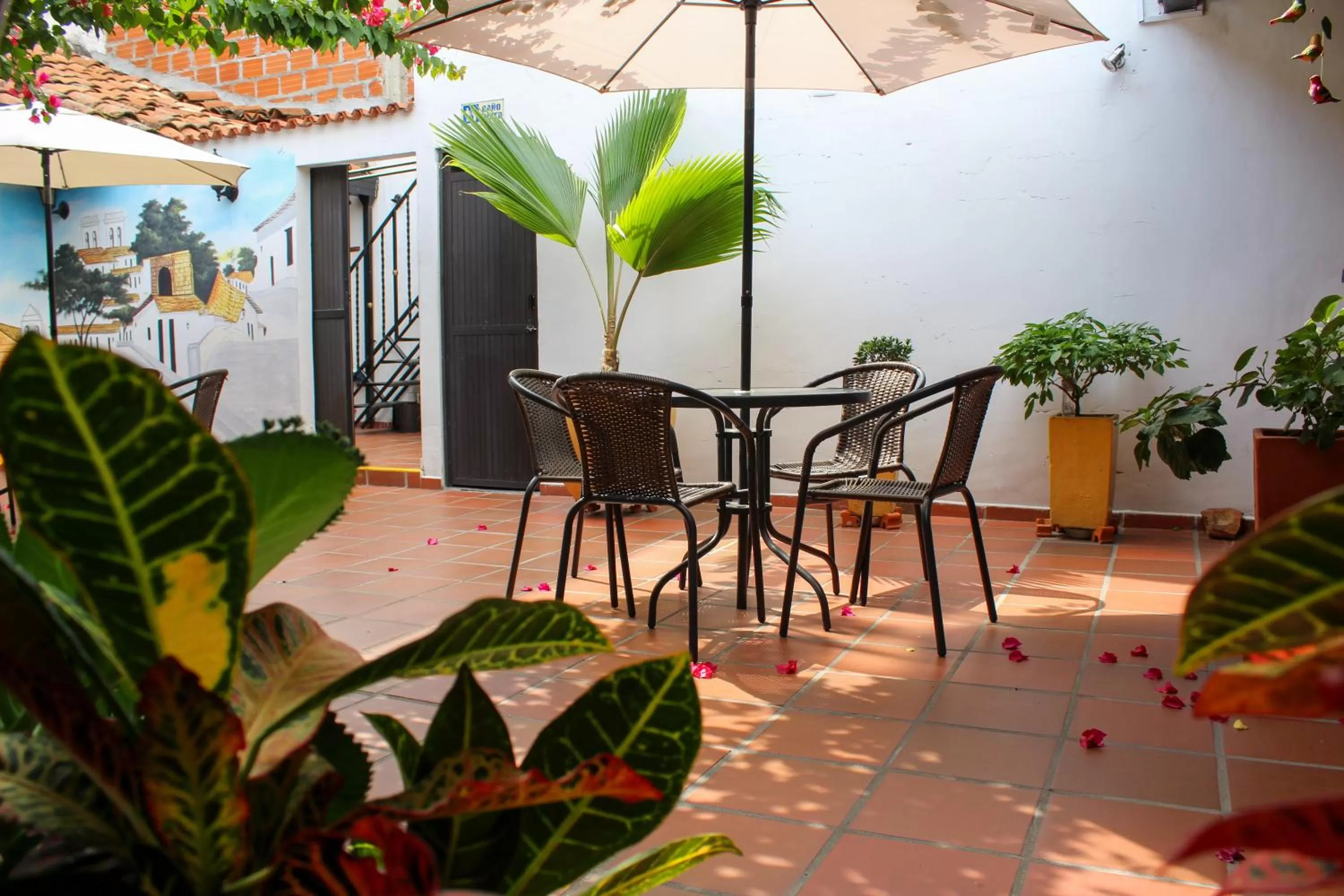 Patio in Hotel Colonial San Felipe