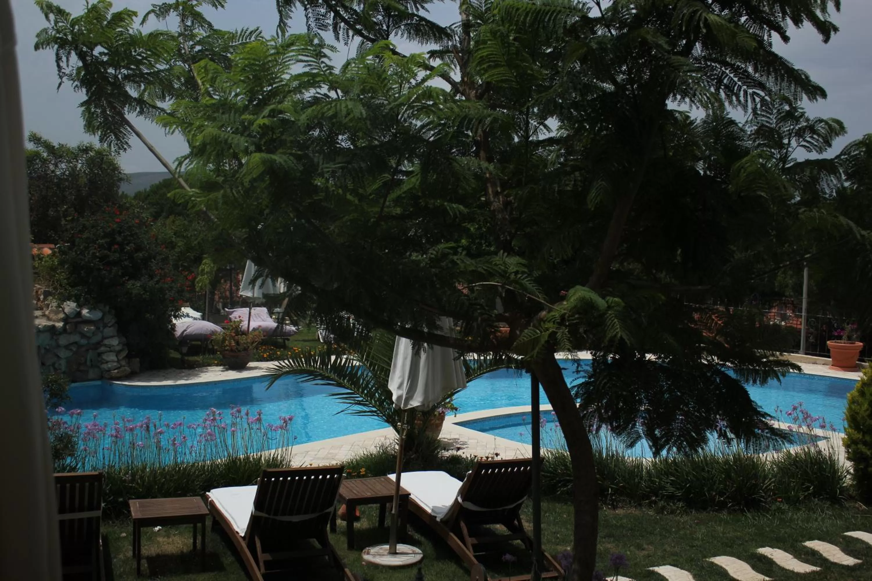 Swimming pool, Pool View in Dolina Hotel