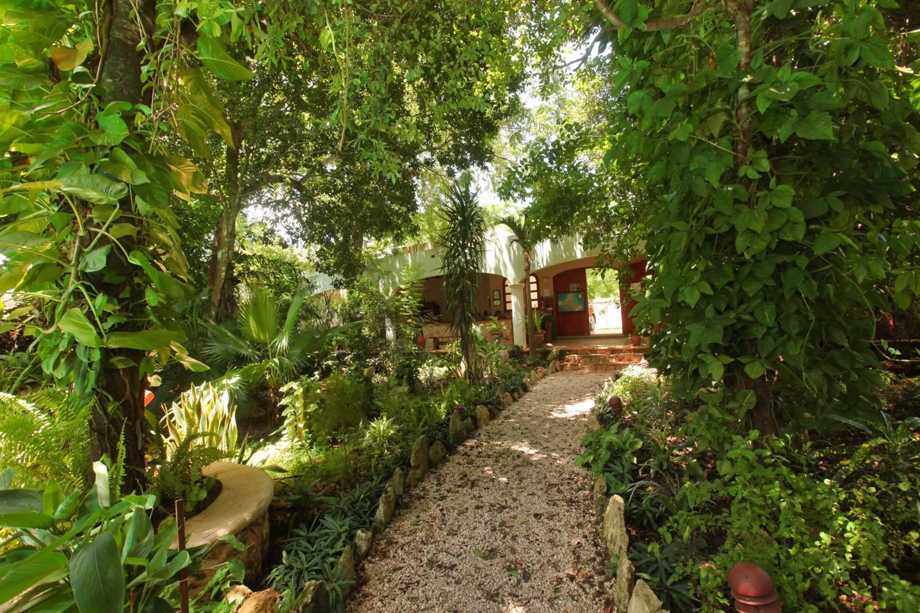 Garden in Casa Quetzal Hotel