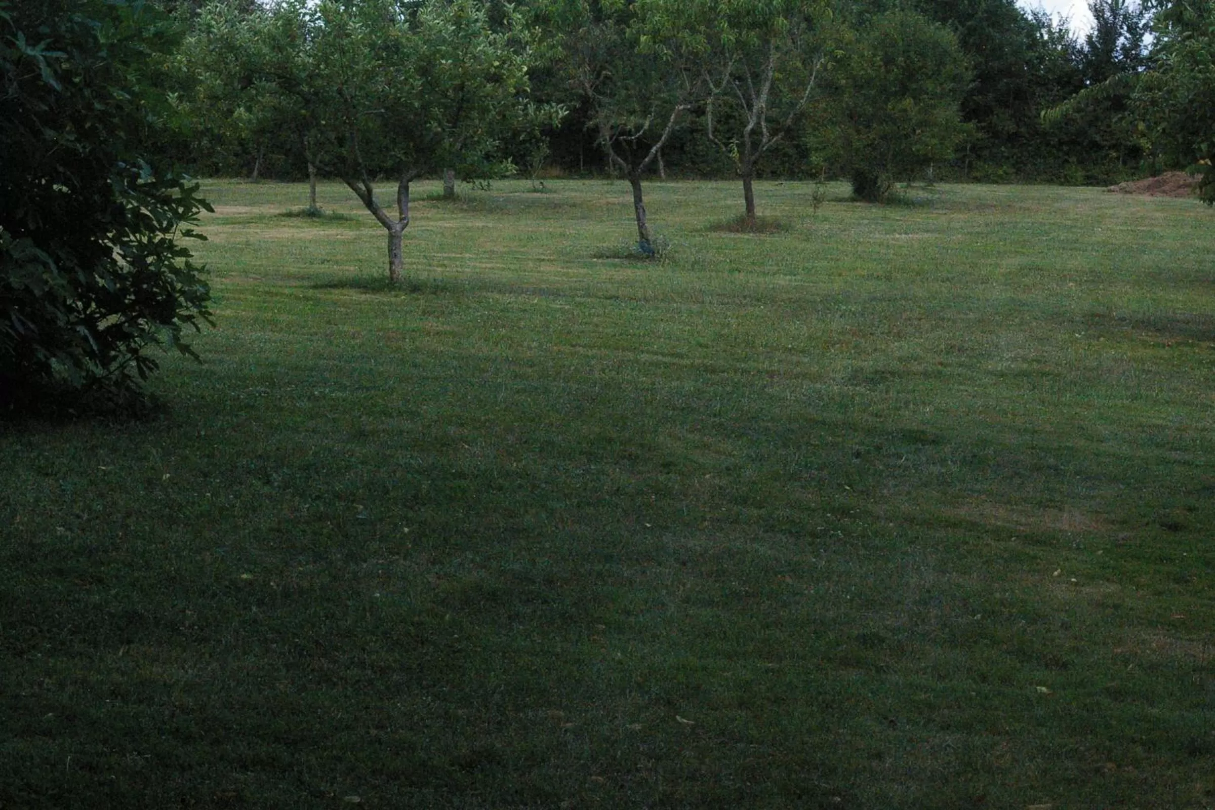 Chambres d'Hotes du Maine