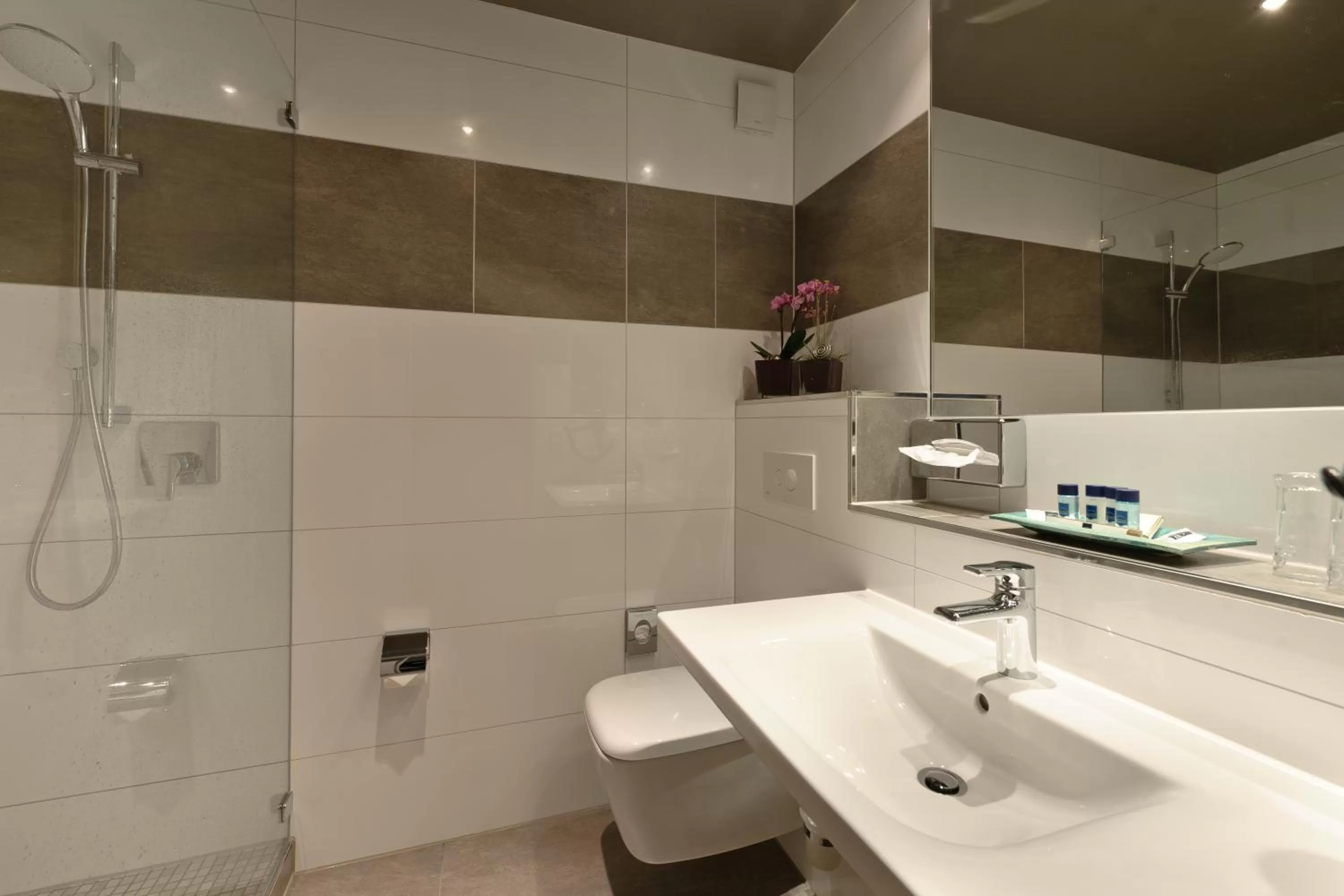 Bathroom in Panorama Hotel Schweinfurt