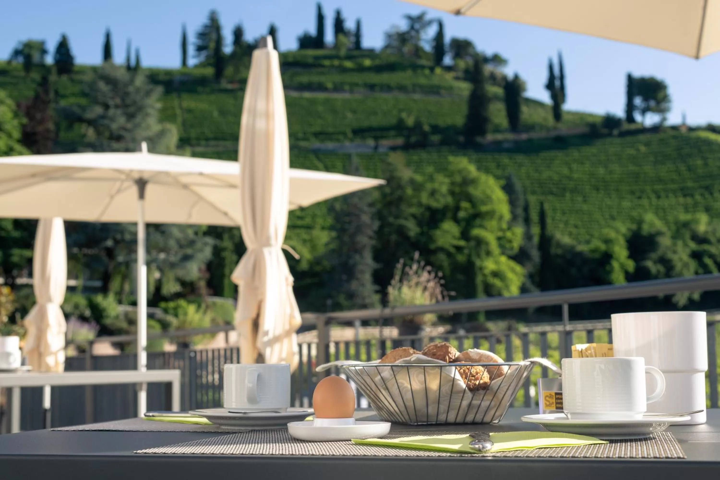 Balcony/Terrace in Residence Garni Hotel Vineus