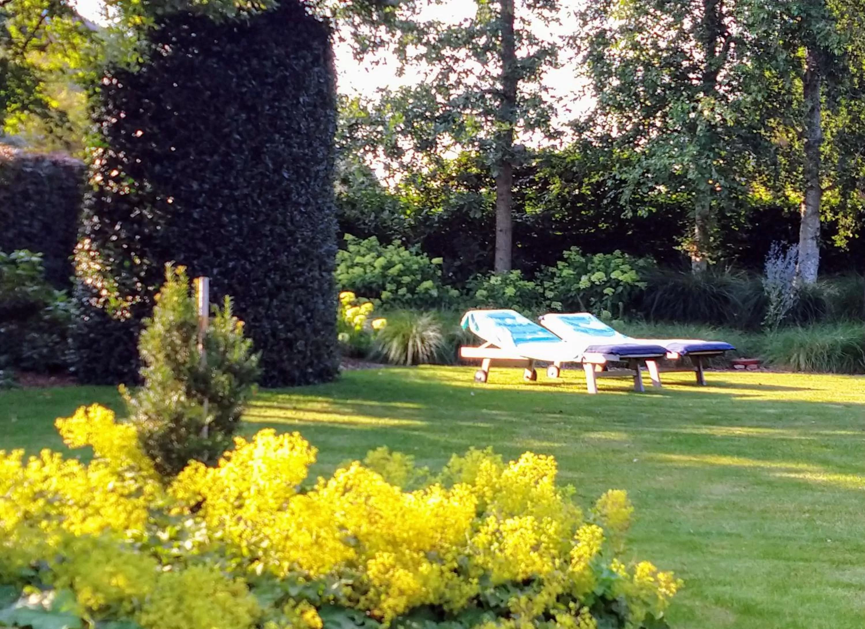 Garden in B&B De Passant