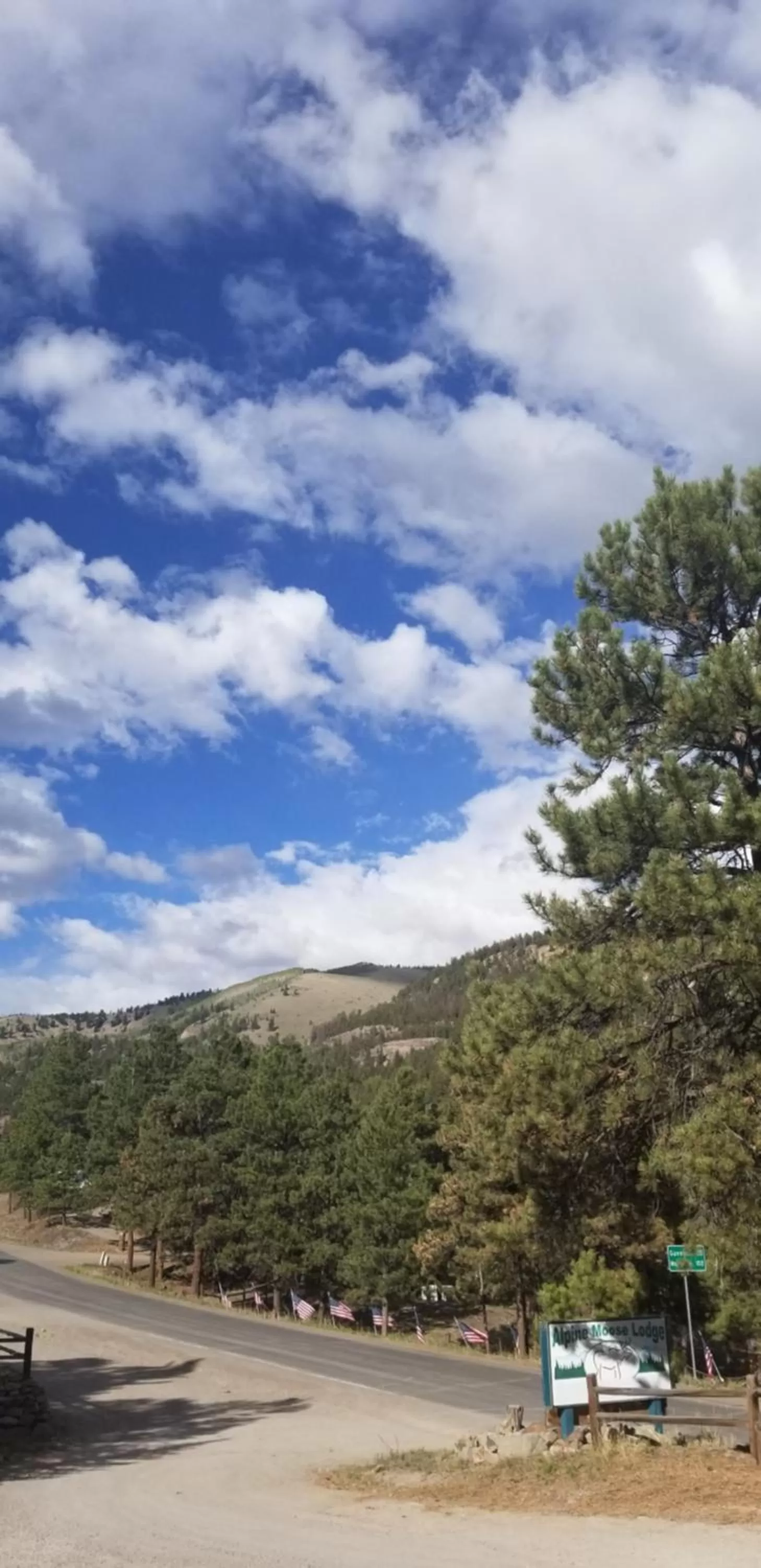 Property building in Alpine Moose Lodge