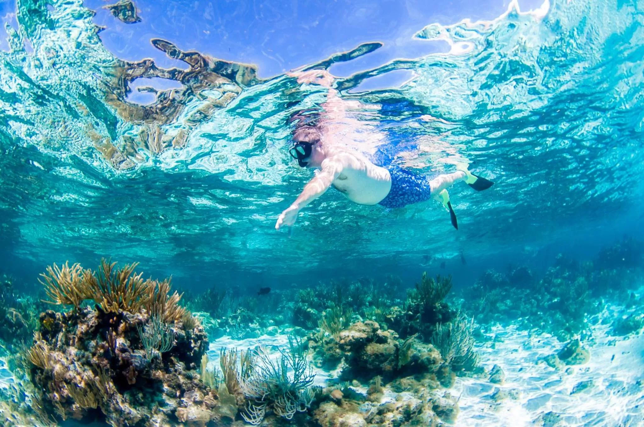 Nearby landmark in Holiday Inn Resort Grand Cayman by IHG