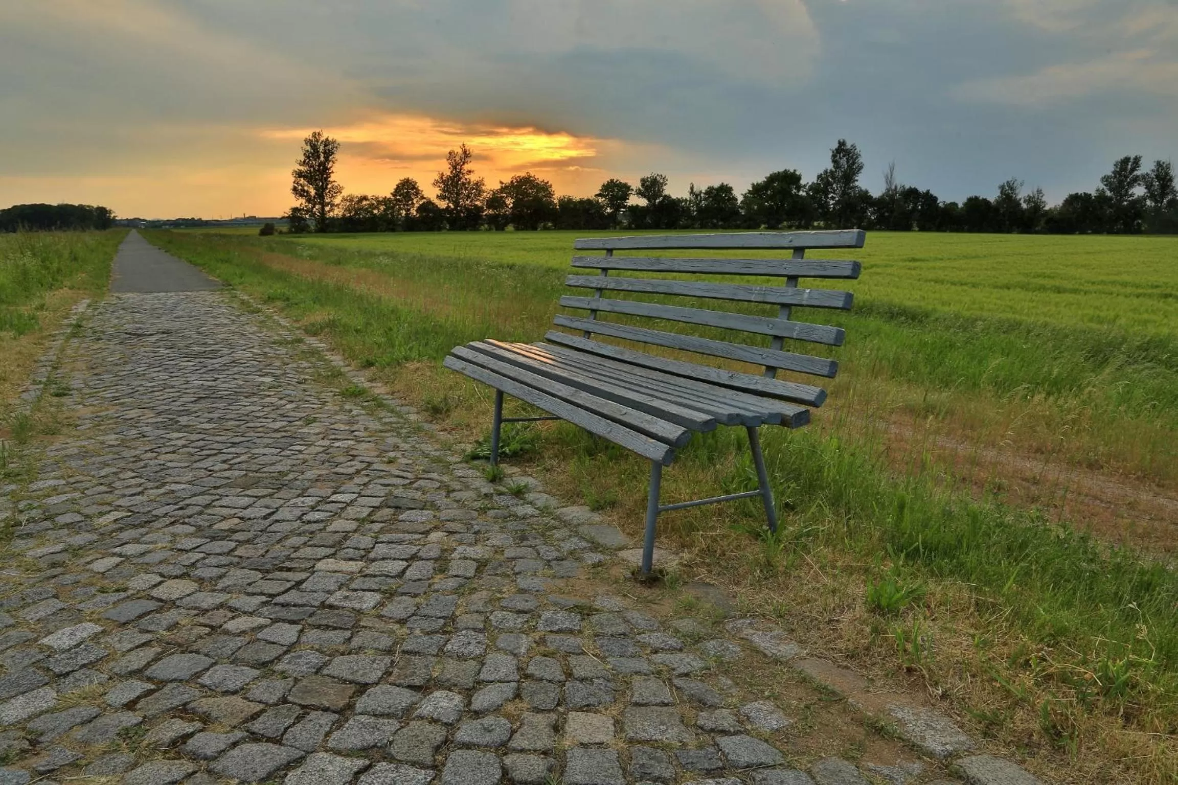 Natural landscape in Hotel Moritz an der Elbe