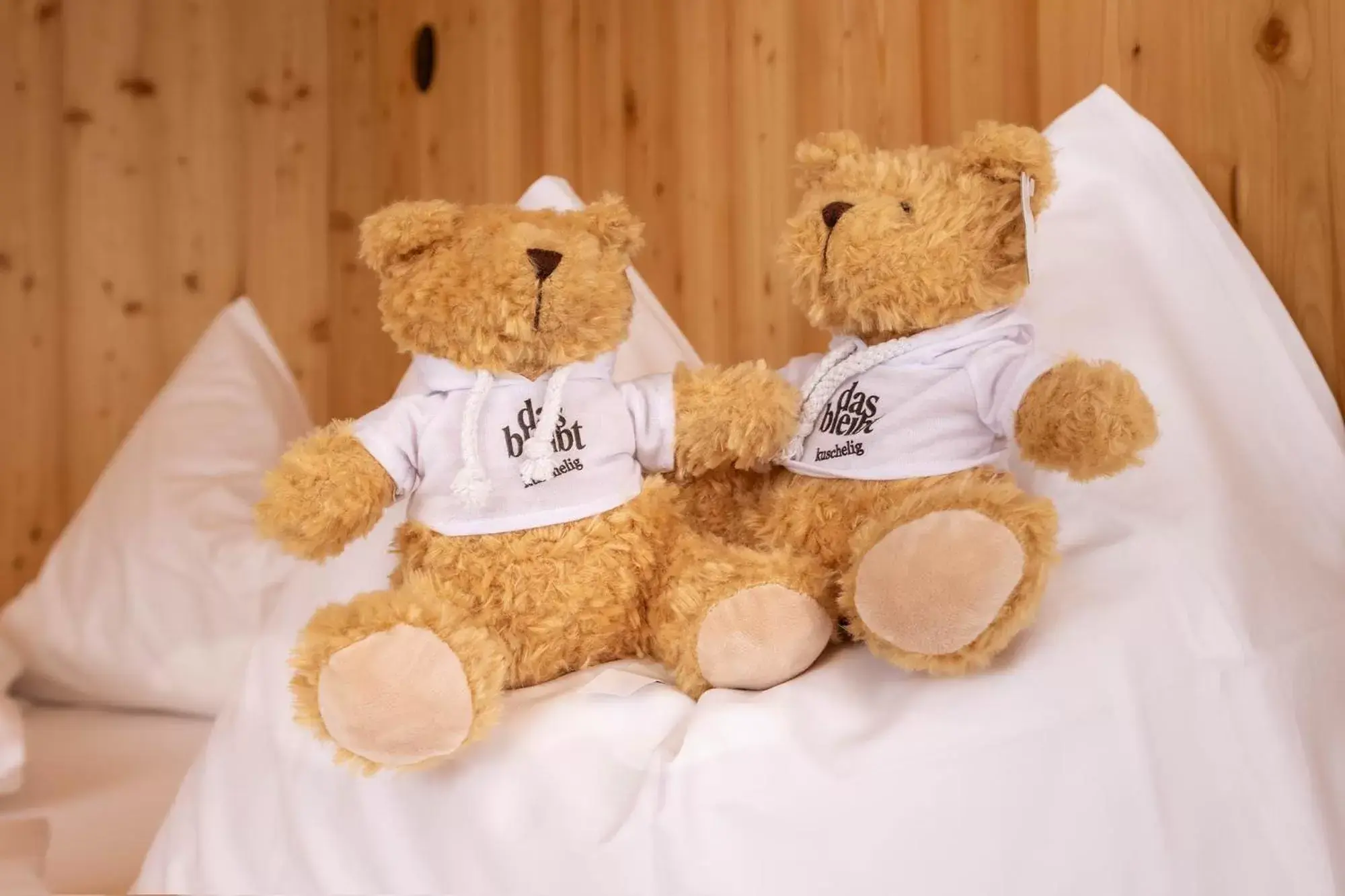 Penthouse Apartment in das bleibt Alpine Suites Penthouse Apartment in das bleibt Alpine Suites