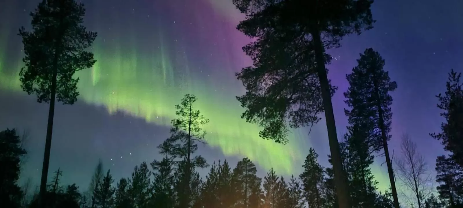 Natural landscape in Kultahippu Hotel & Apartments