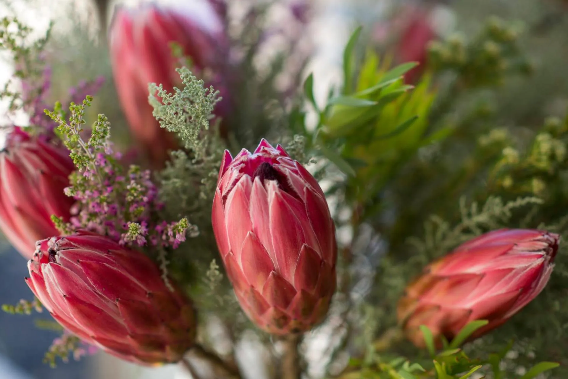 Decorative detail in Palm Beach Guesthouse