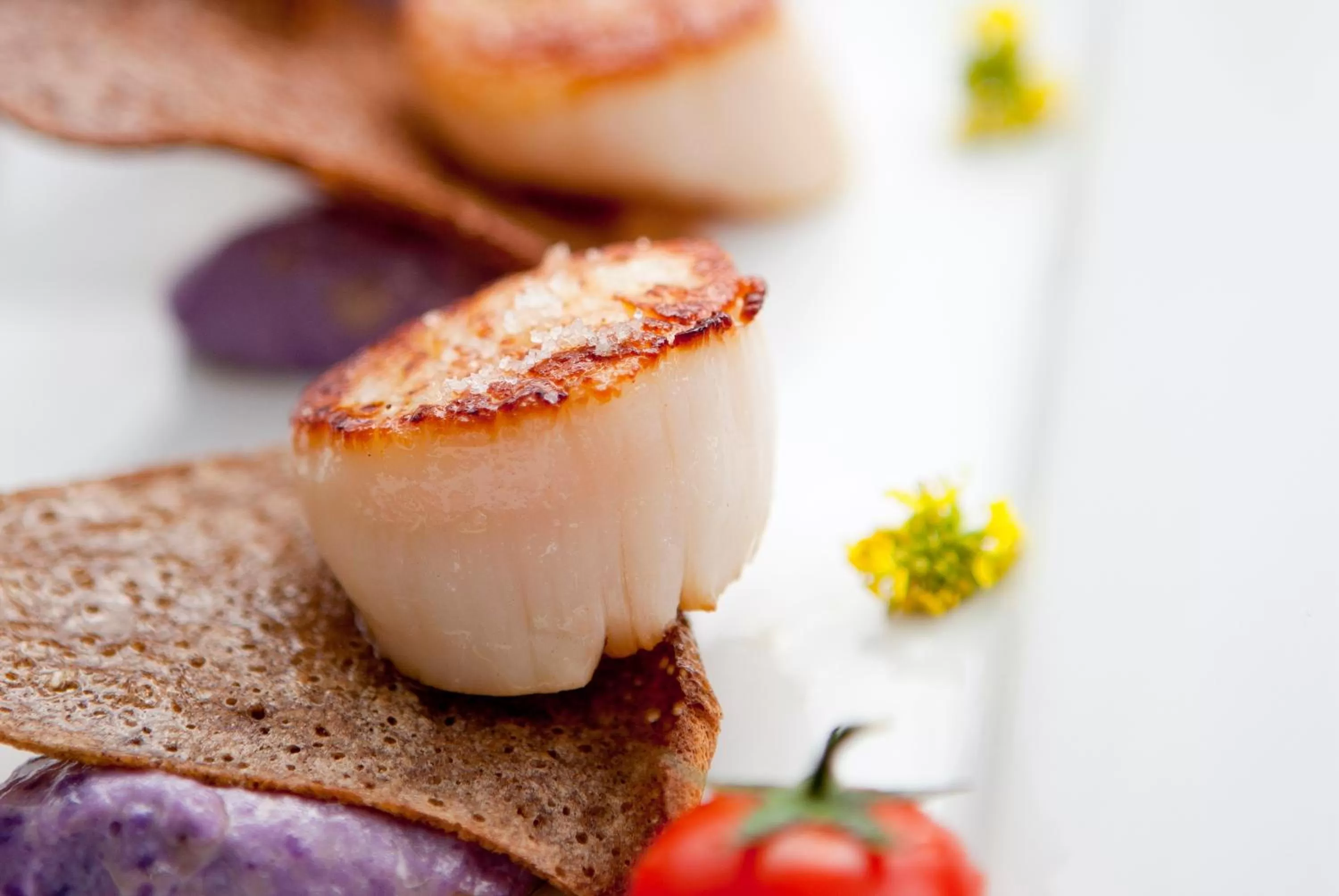 Dinner in Hôtel Ile de Ré