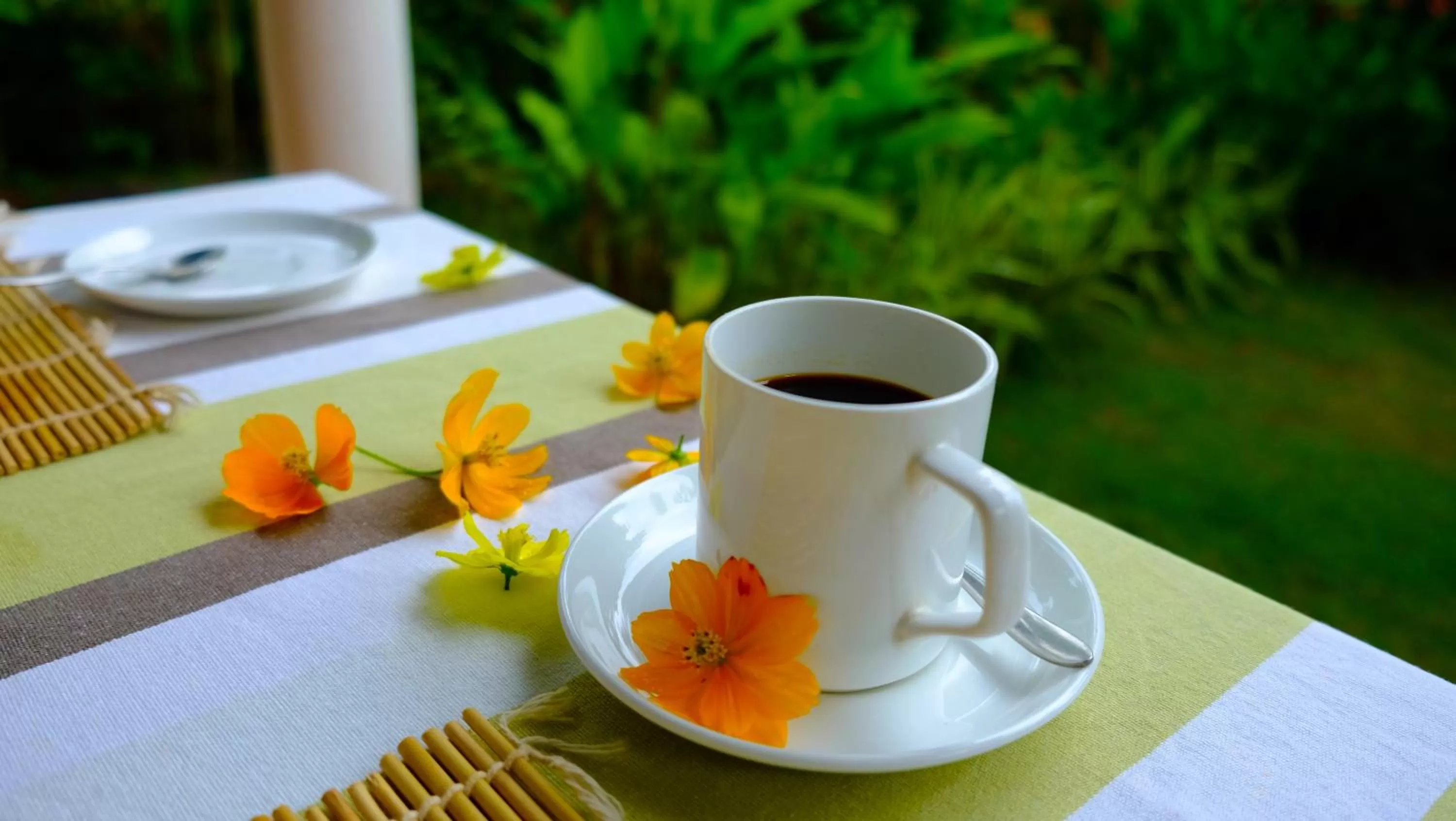 Non alcoholic drinks in Villa Akasa