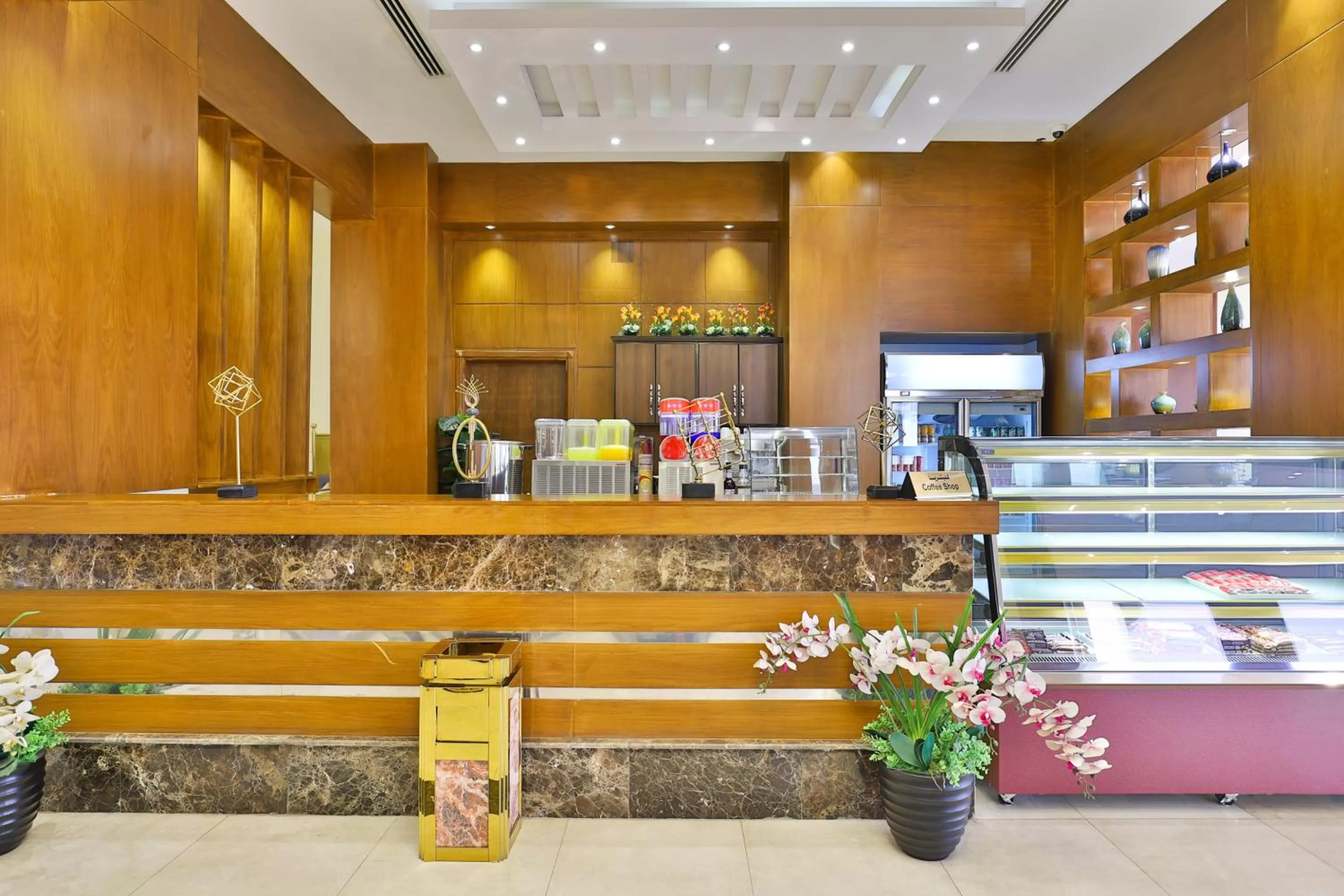 Area and facilities in Dreams Houses furnished Suites