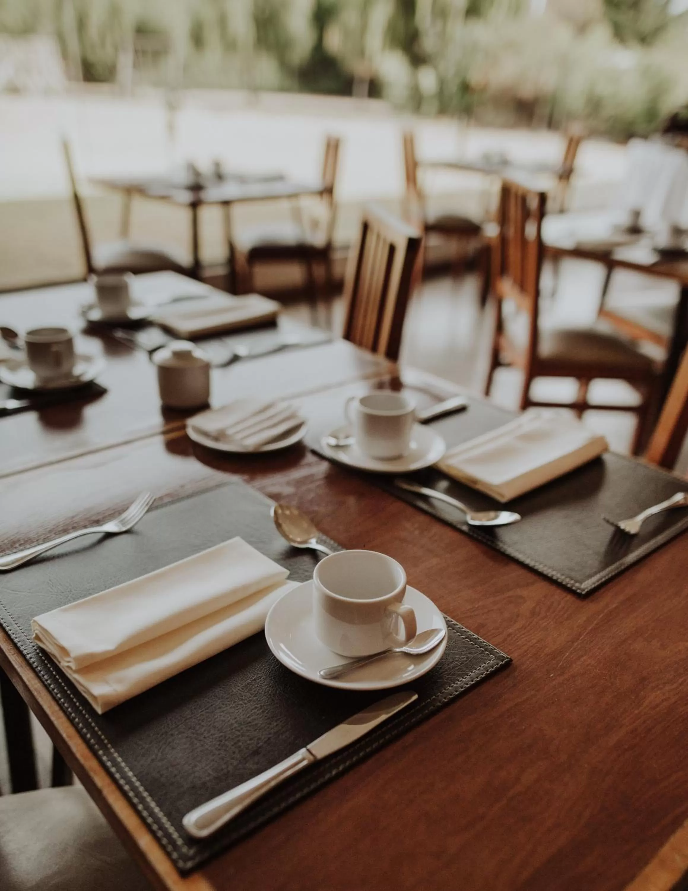 Restaurant/places to eat in Hotel Limari