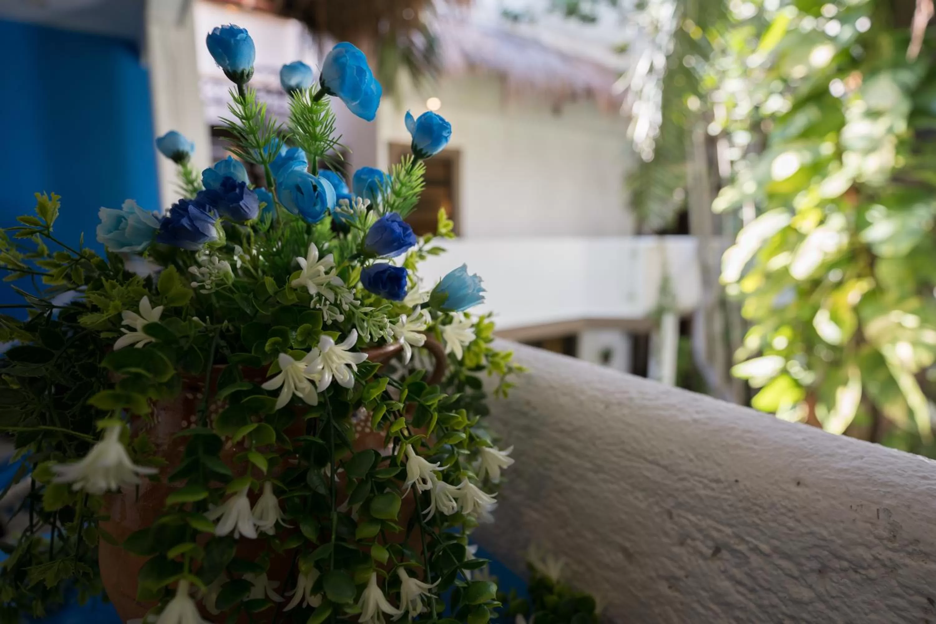 Posada Mariposa Boutique Hotel - 5th Avenue