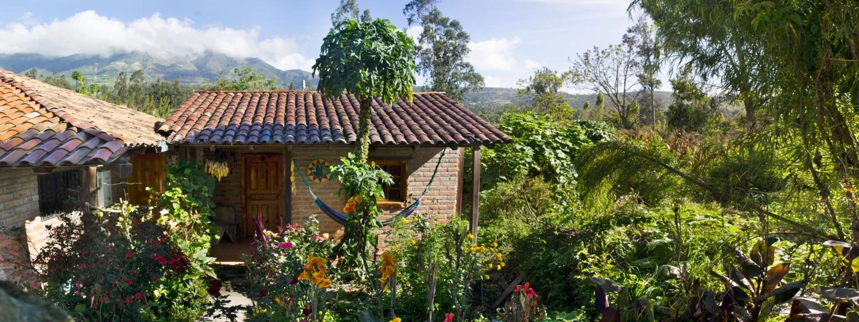 Garden, Property Building in Kallpa Wasi