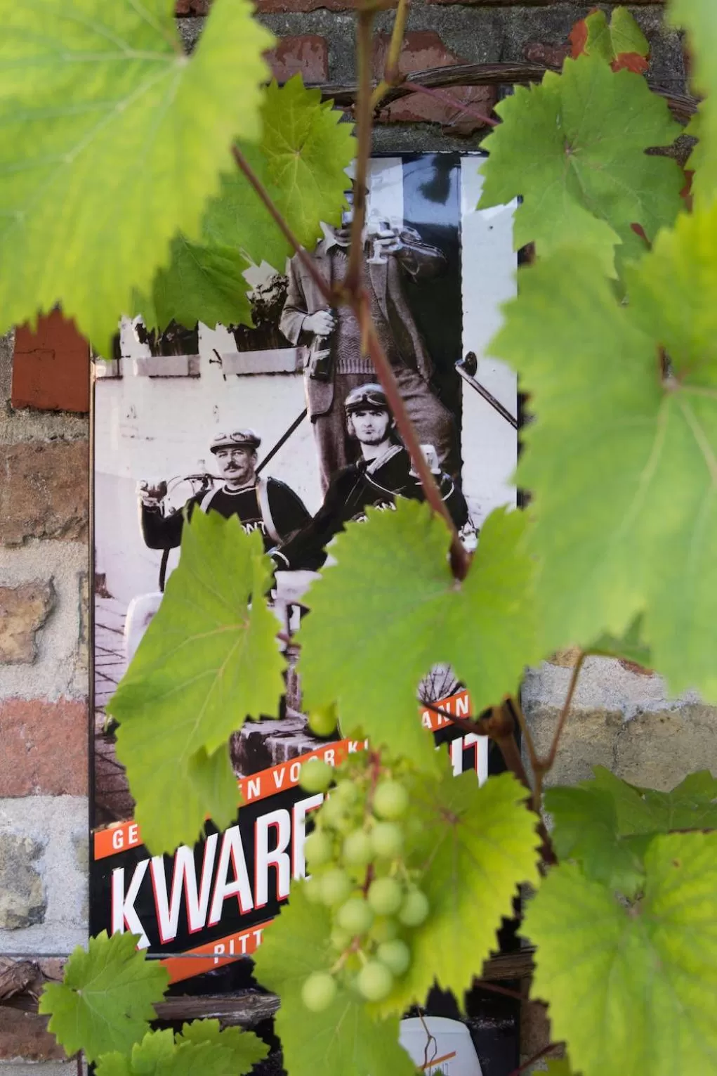 Garden in Oud Gemeentehuis