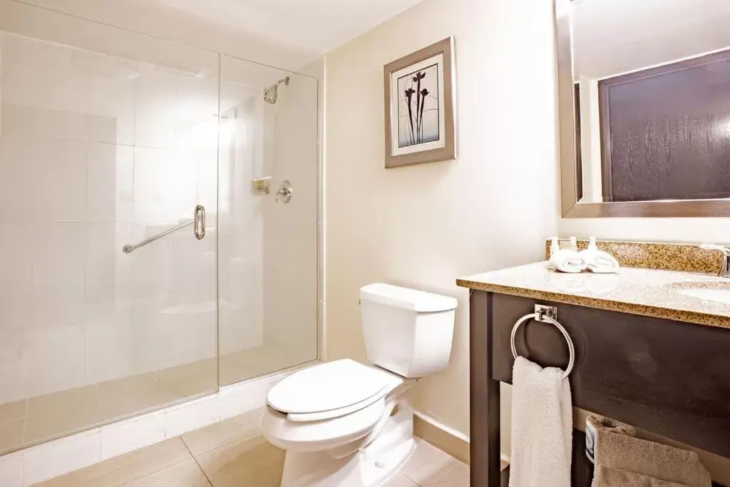 Junior Suite in Studio Coliving Hotel Junior Suite in Studio Coliving Hotel