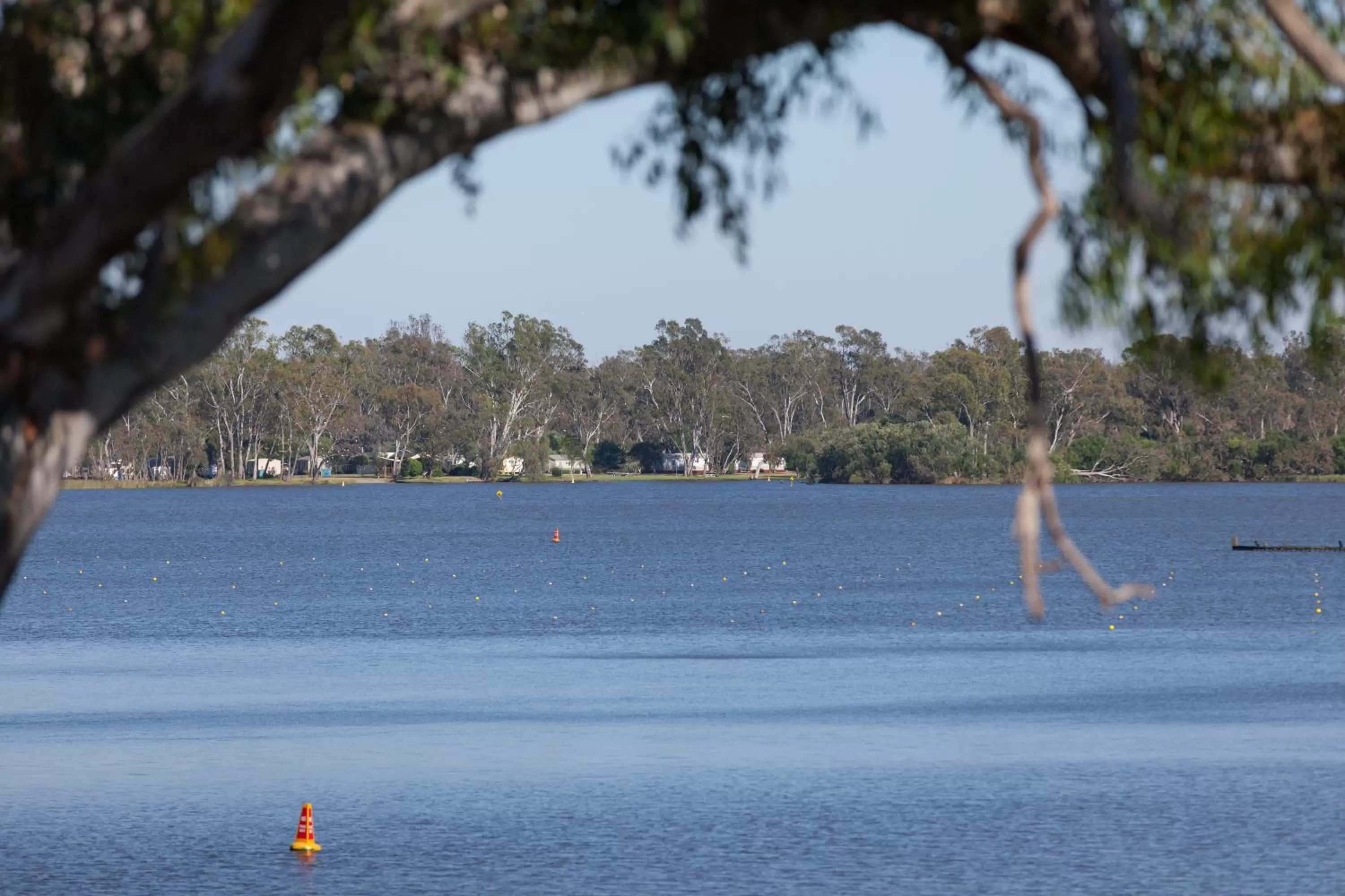 Natural landscape in Nagambie Waterfront Motel