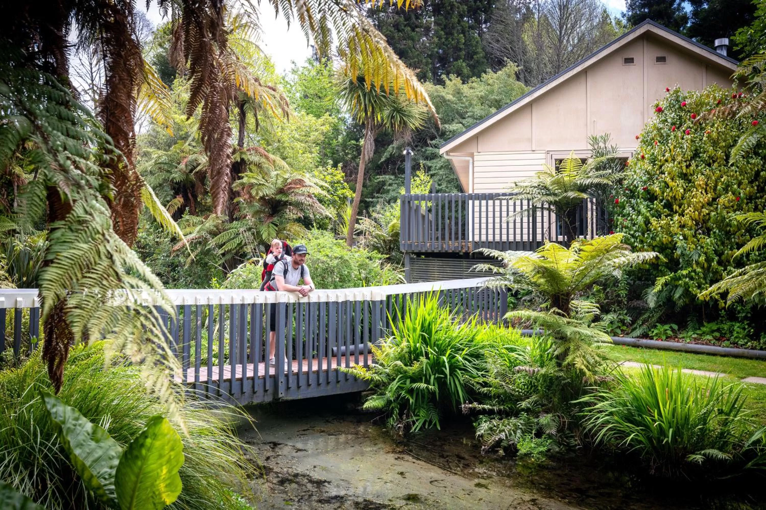 Garden in Best Western Braeside Rotorua