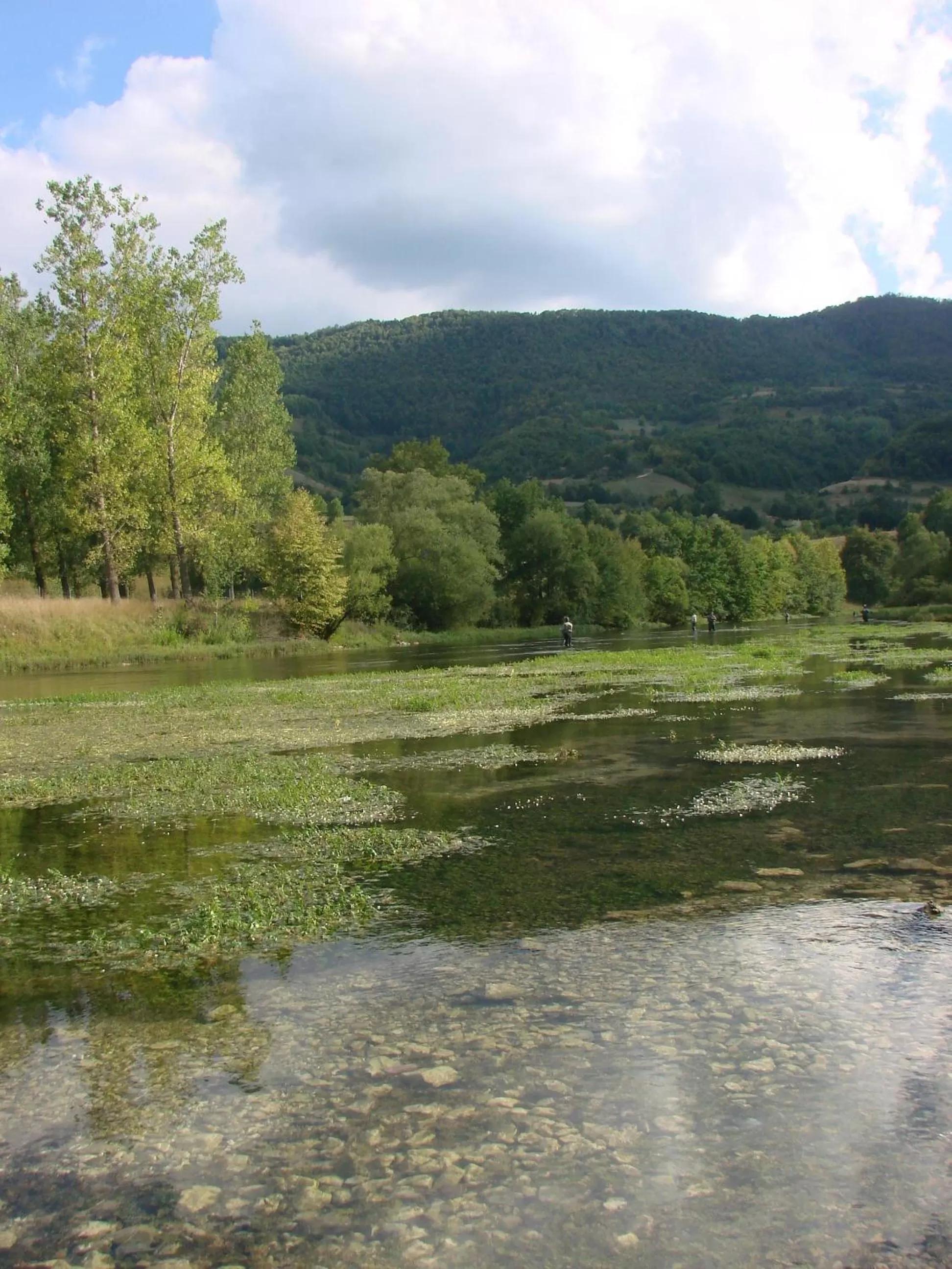 Bed and Breakfast Family Djukic