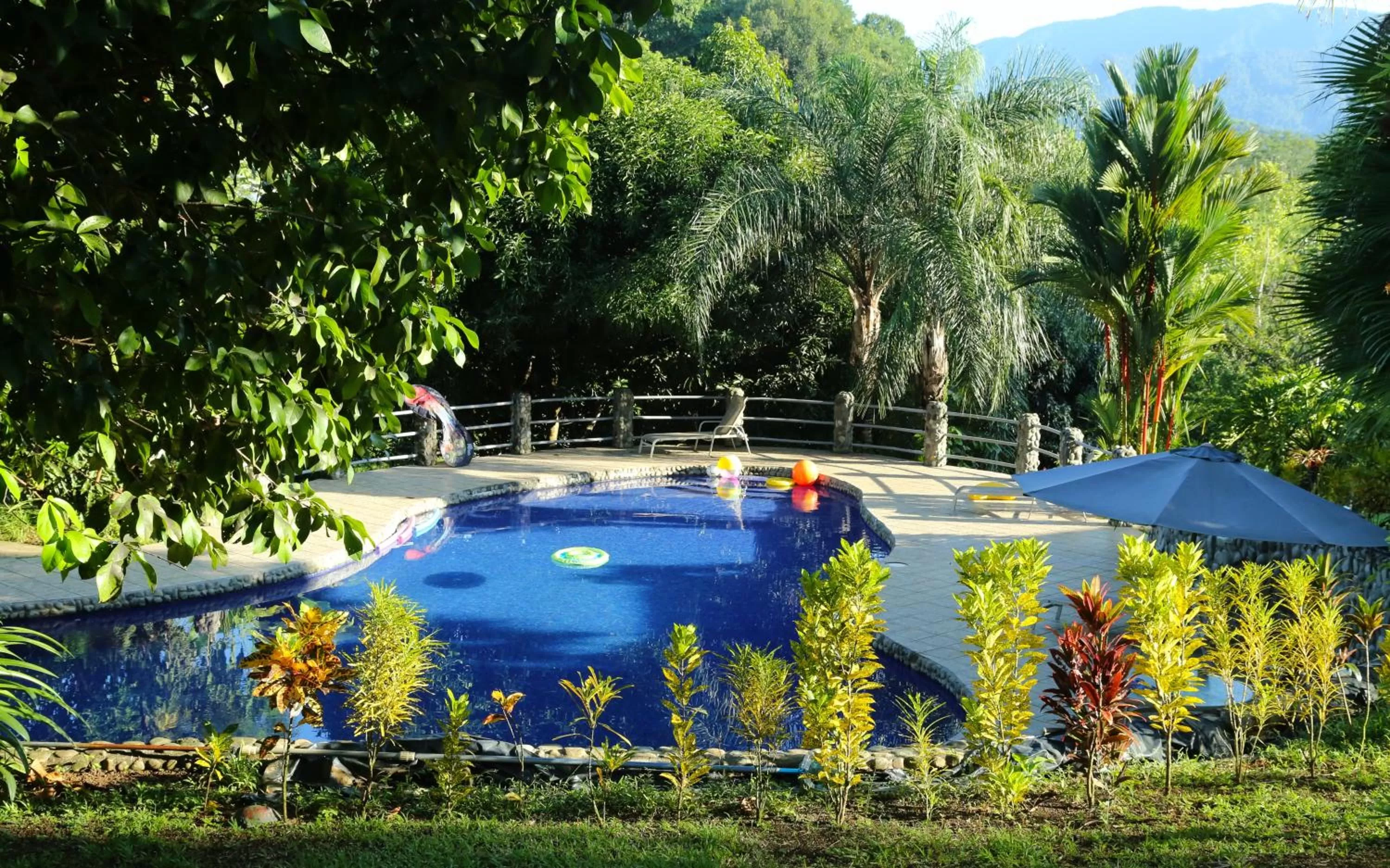 Day in Blue Banyan Inn