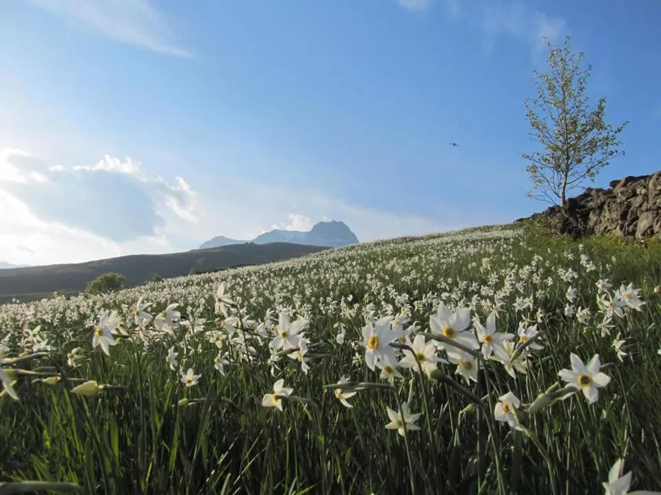 Hiking in B&B Villa Tavallini