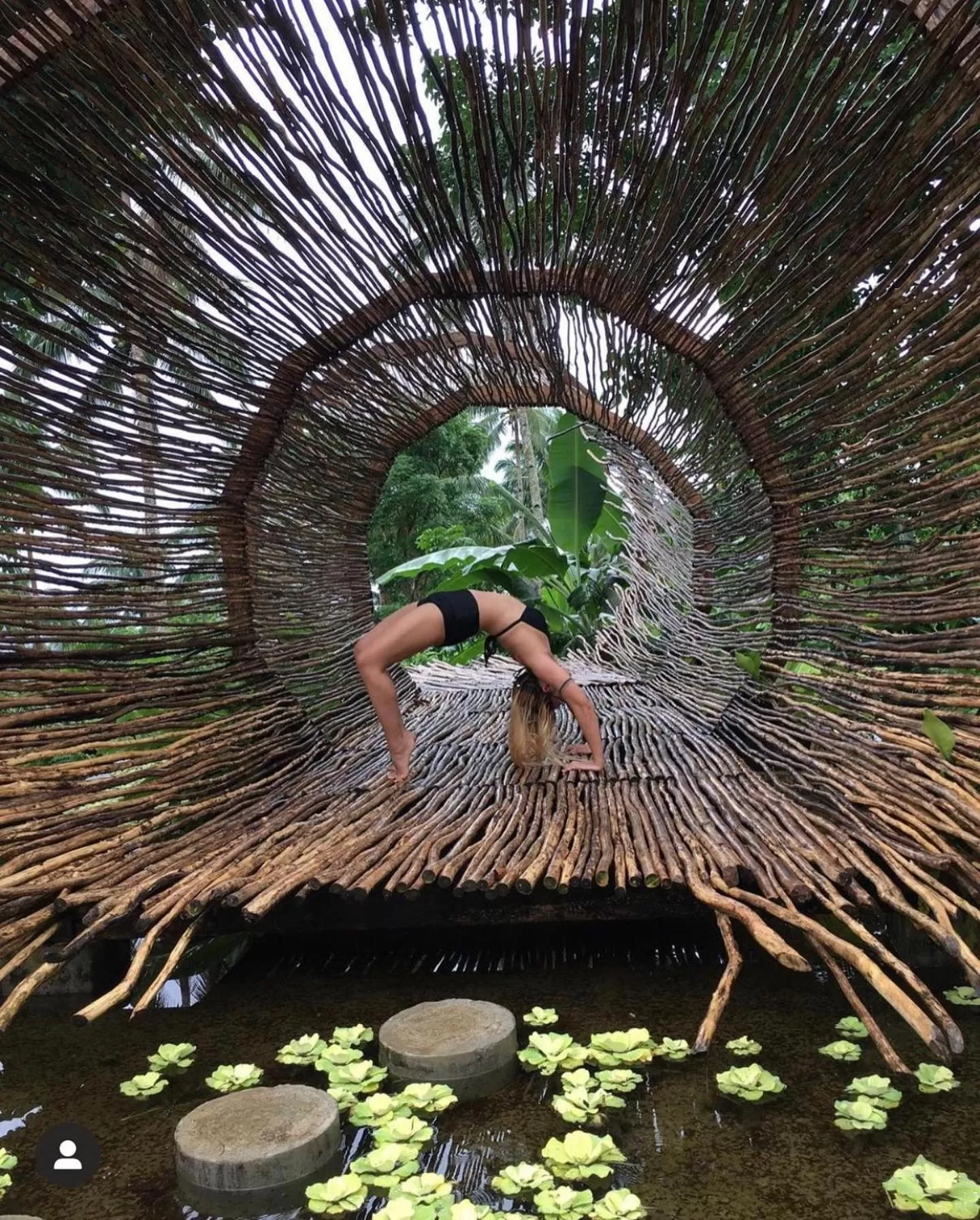 Other Animals in Bintana sa Paraiso Binunsaran