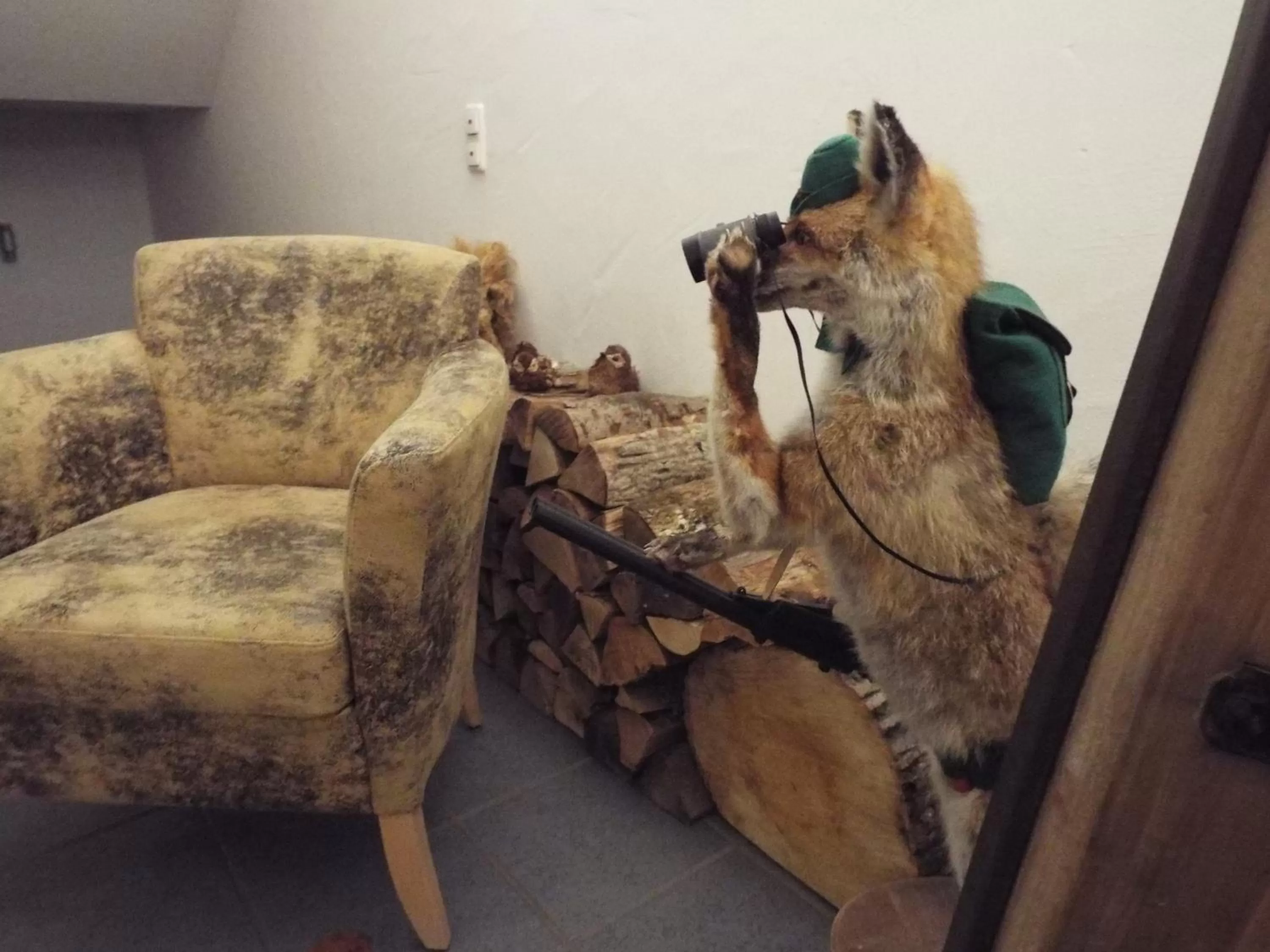 Pets, Other Animals in Hotel Isartaler Hof