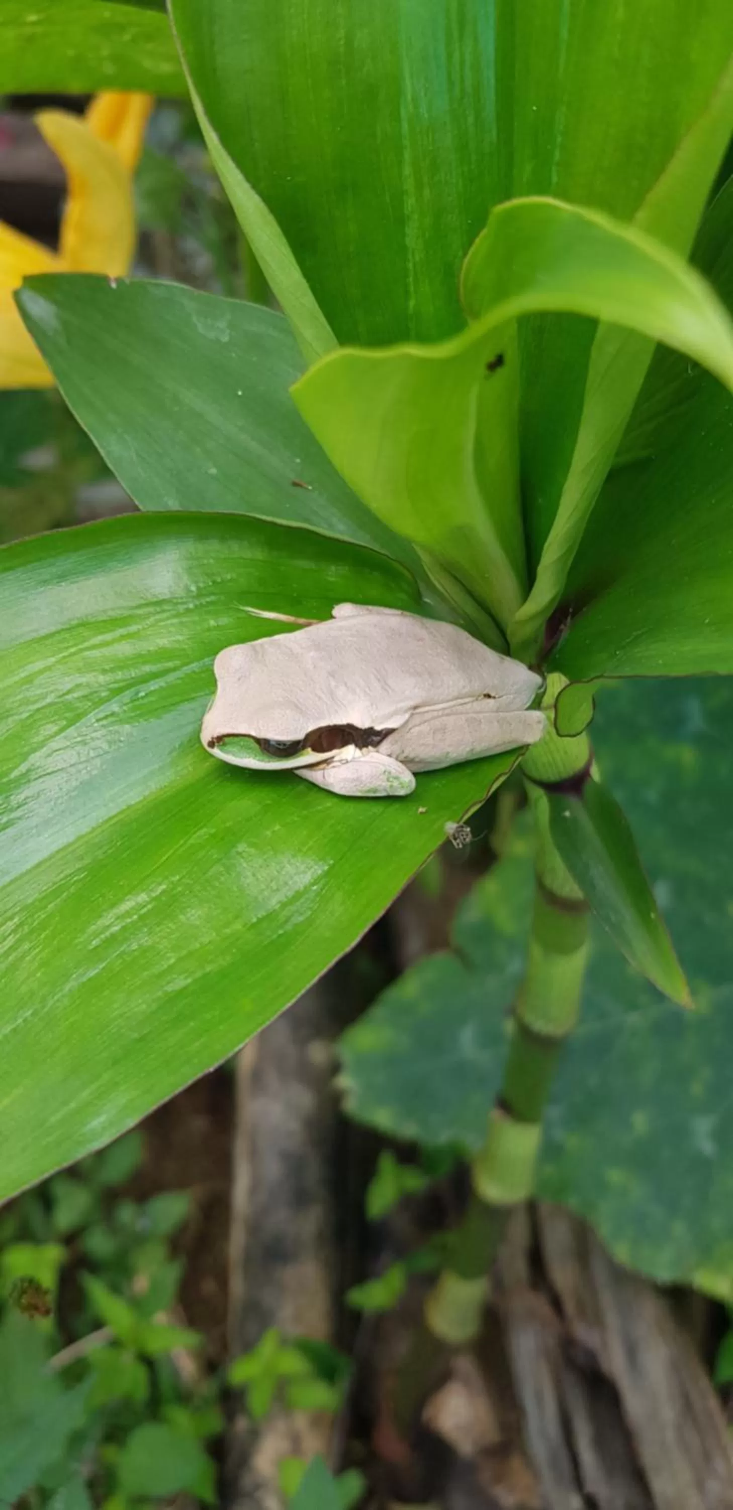 Animals, Other Animals in Hotel Rivel - Adventure & Nature Retreat