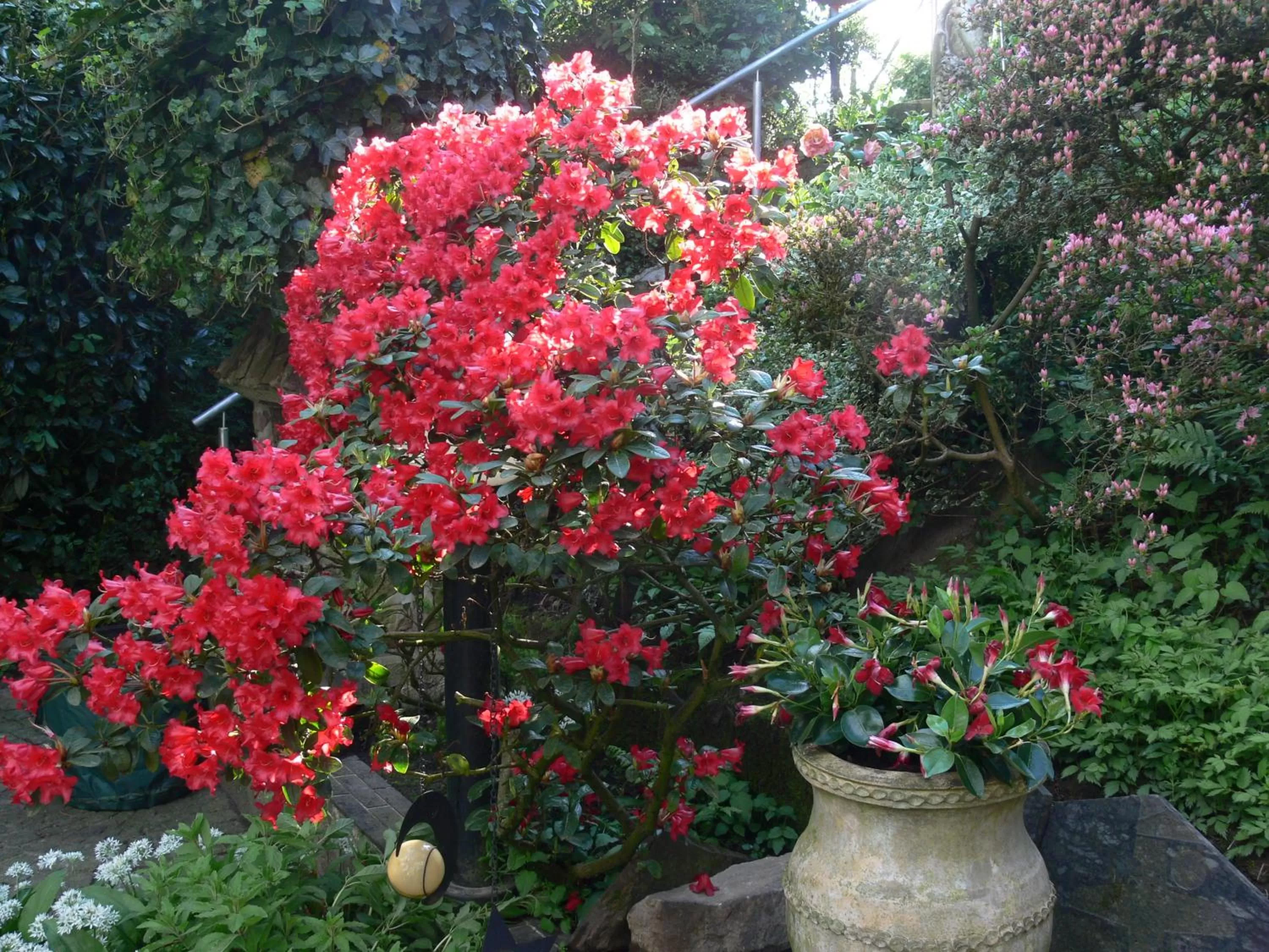 Garden view in Die Villa Mettmann