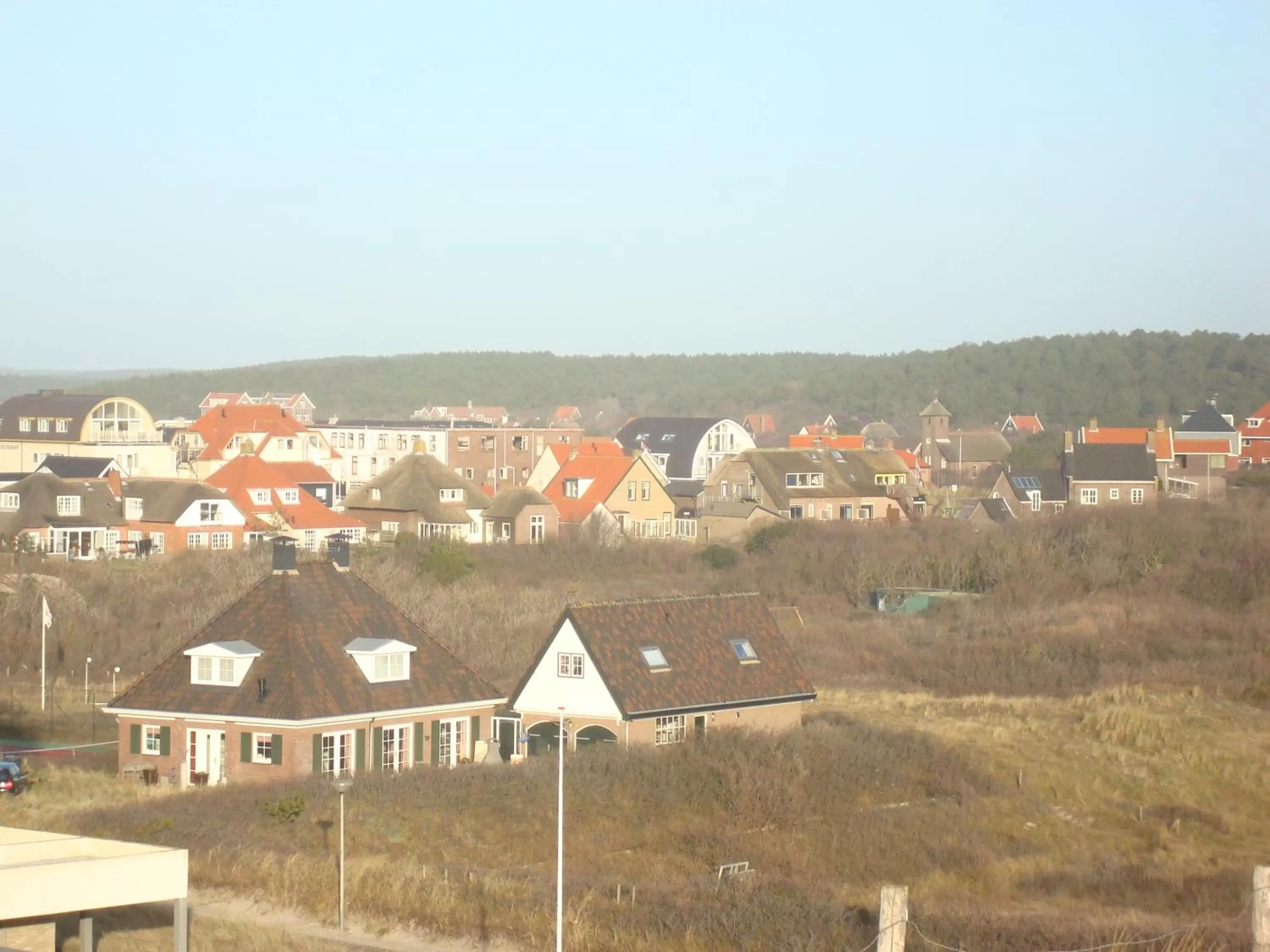 Area and facilities in Hotel Rasch