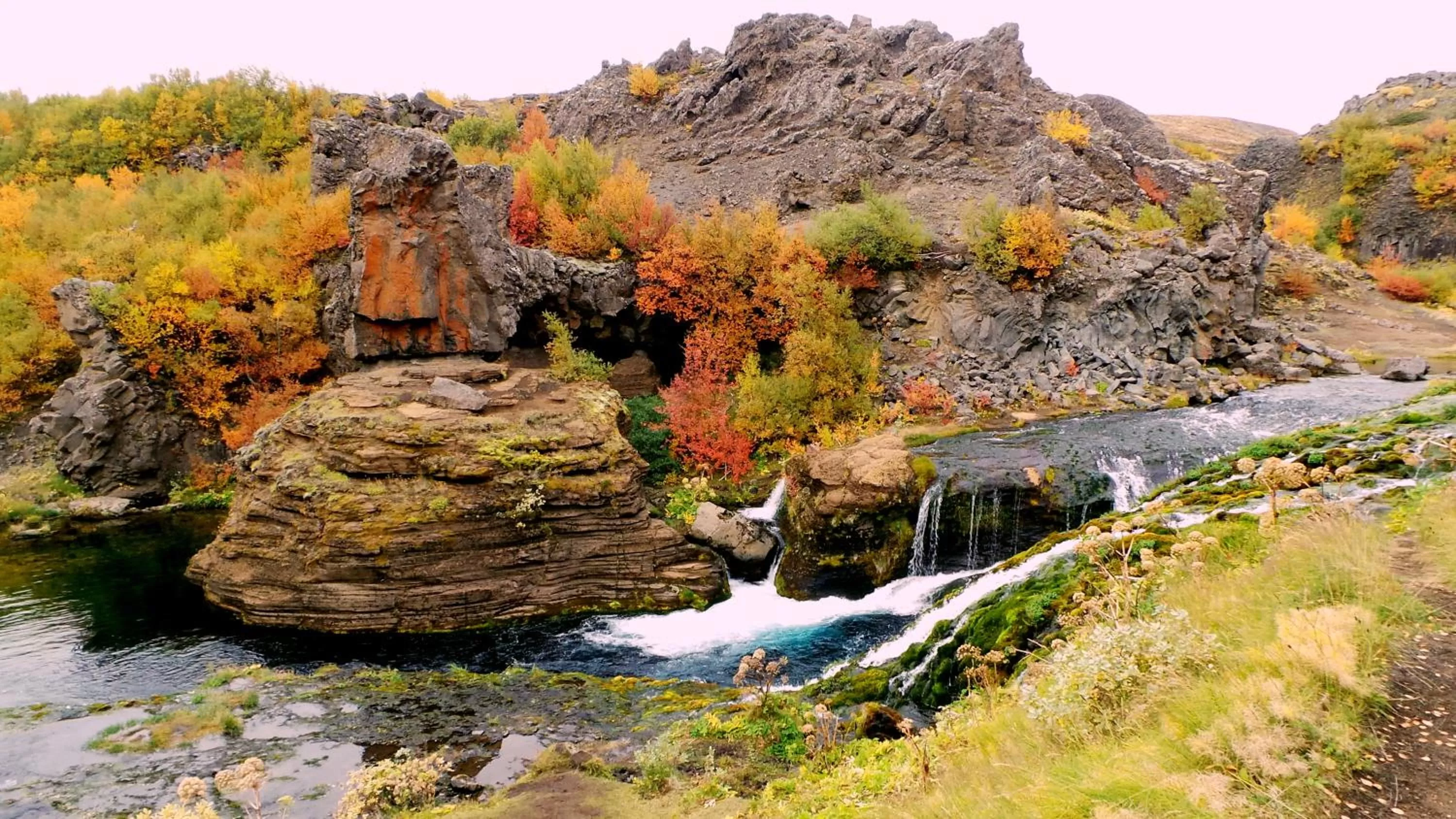 Other in Raven's Bed