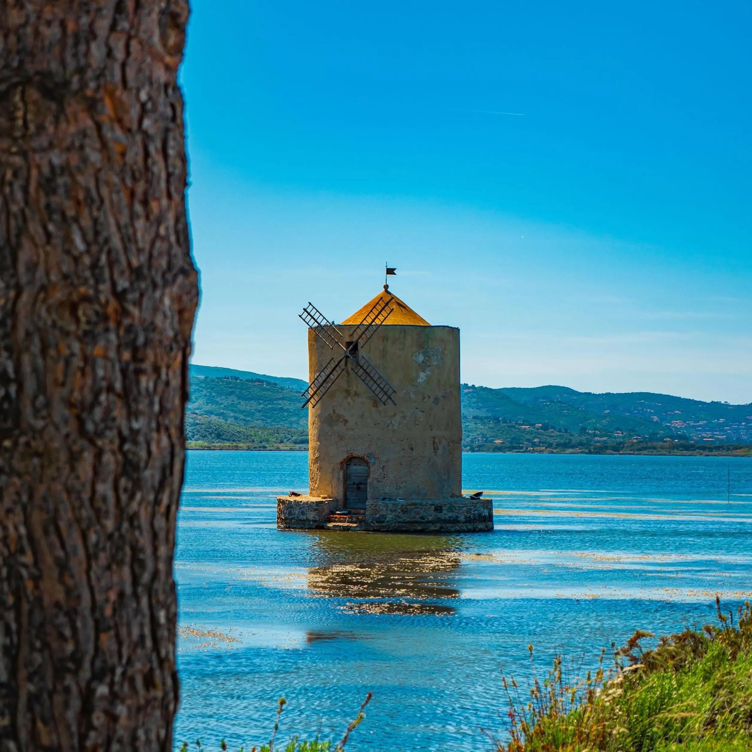 Natural landscape in Park Hotel Residence