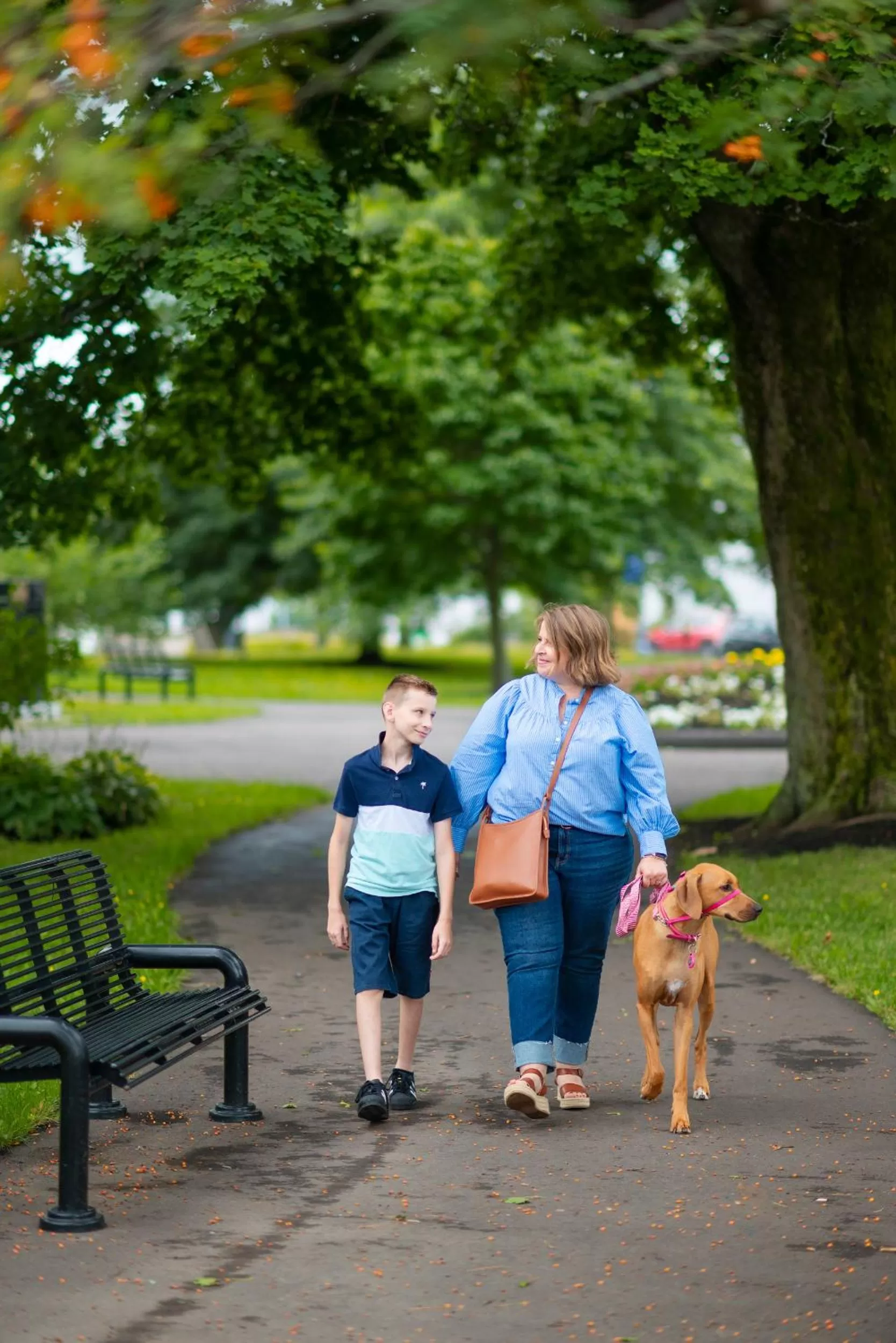 Property building in Rodd Moncton