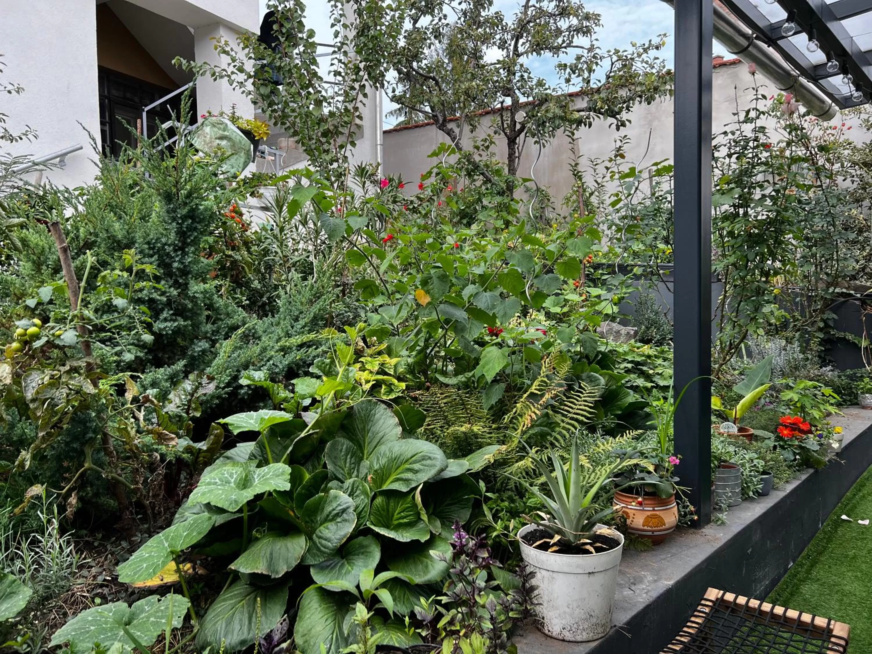 Garden in Margaréta Garden & SPA