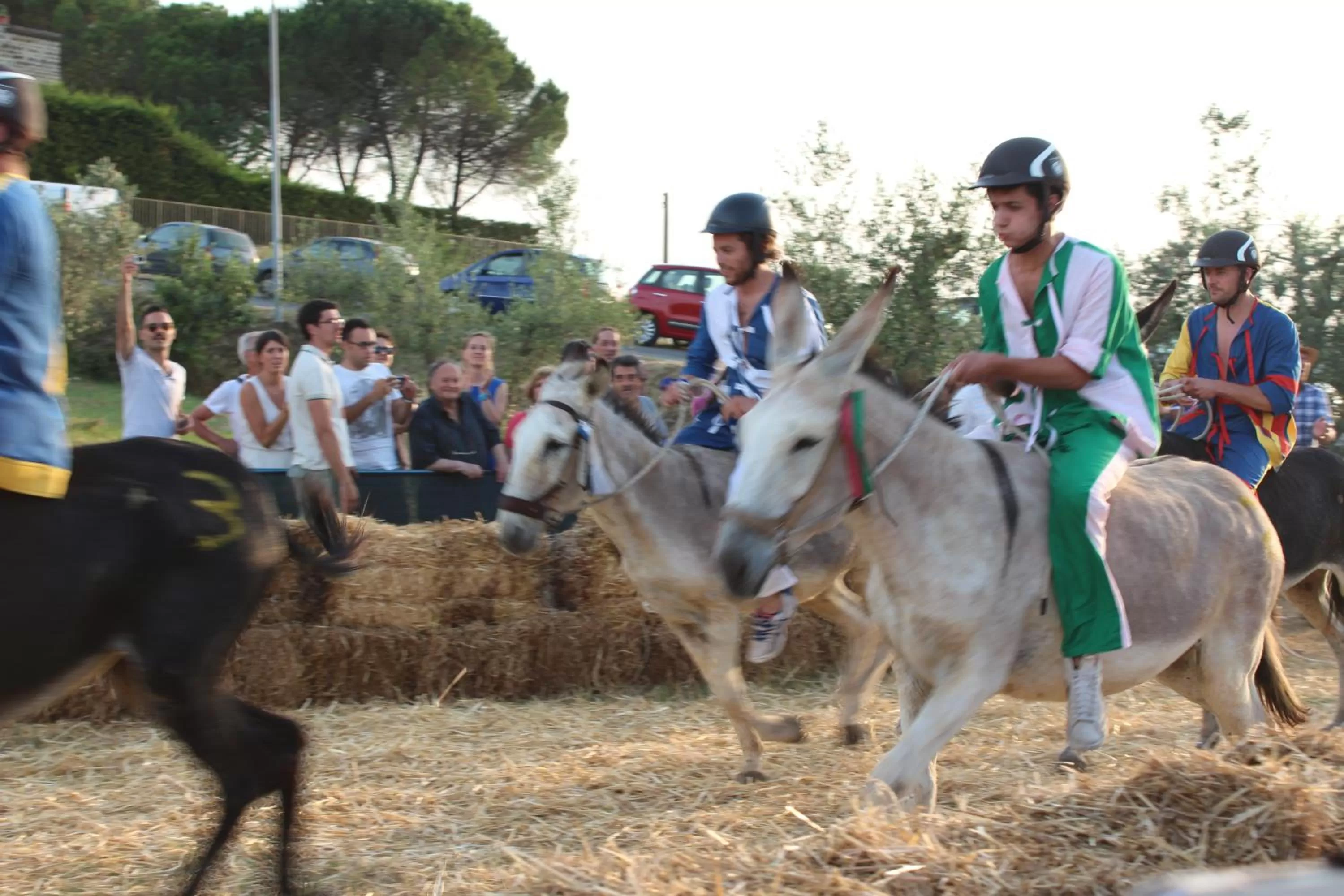 Horse-riding in Le Terrazze Del Chianti b&b Residenza d'Epoca e di Charme