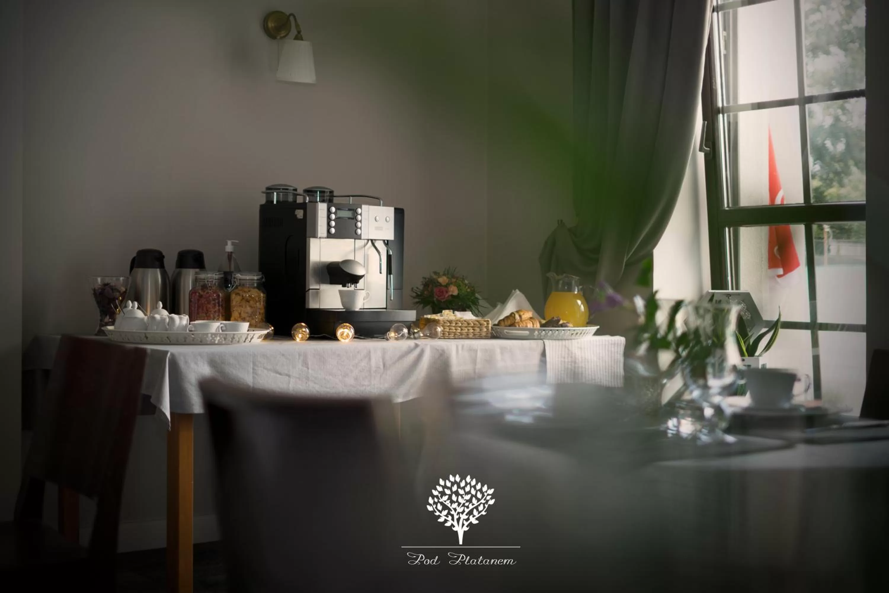 Restaurant/Places to Eat in Pod Platanem Gliwice