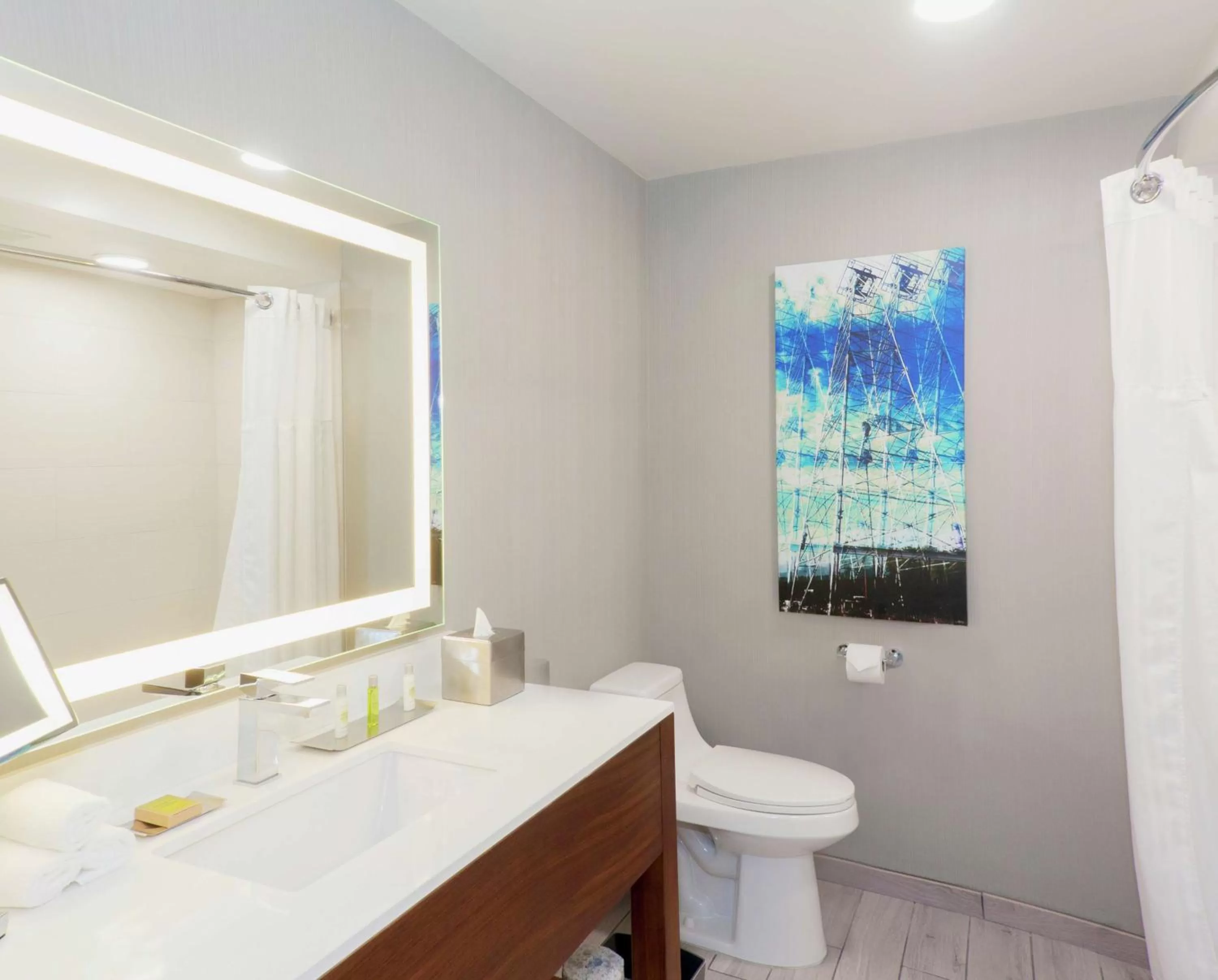 Bathroom in DoubleTree by Hilton Bakersfield