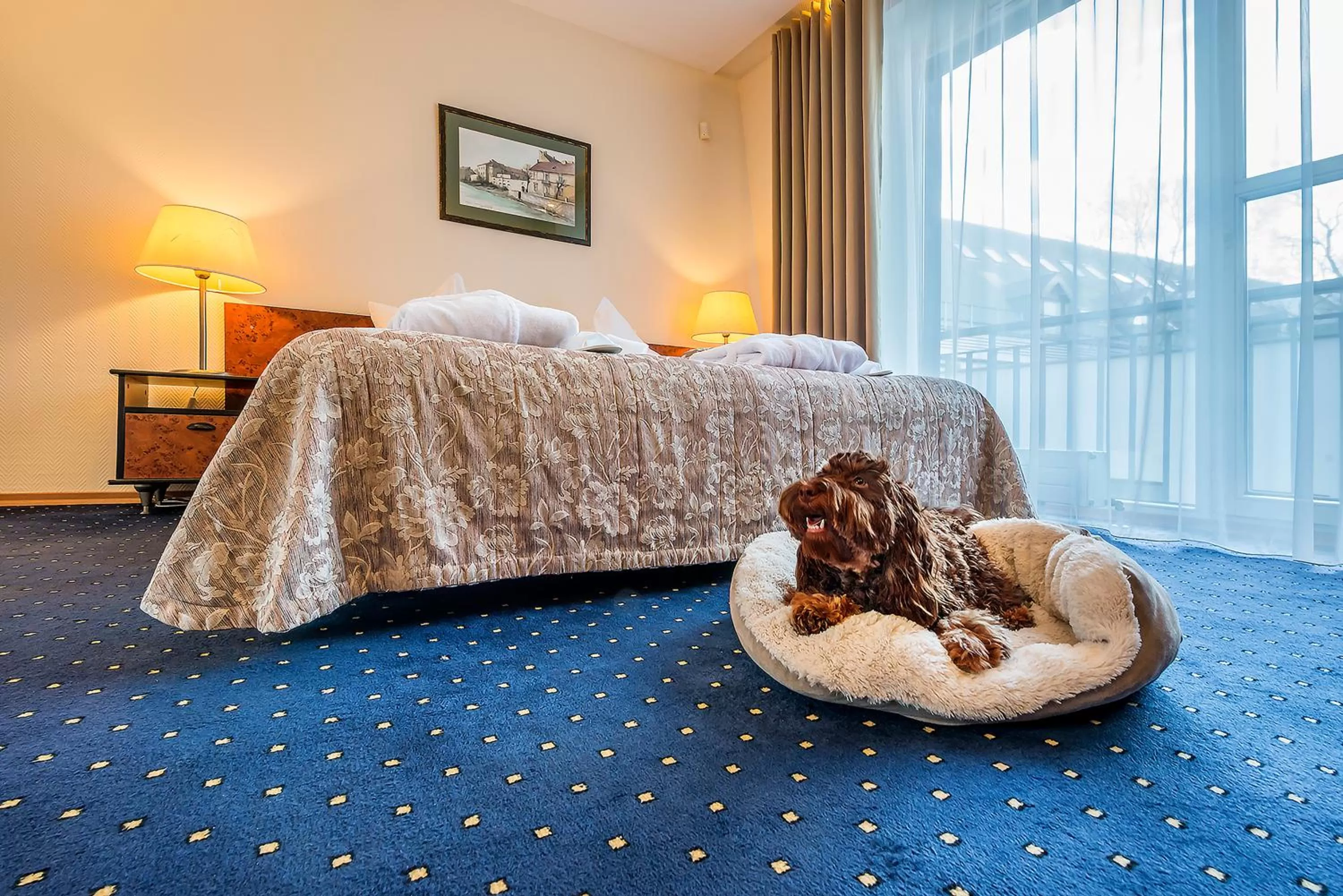 Pets in Grata by Centrum Hotels