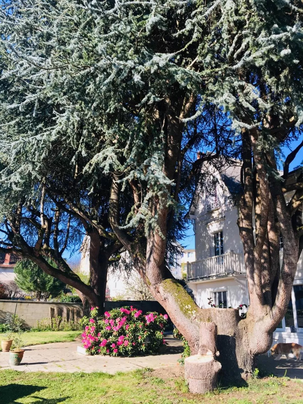 Property building in Chambres d'hôtes La Maison Blanche
