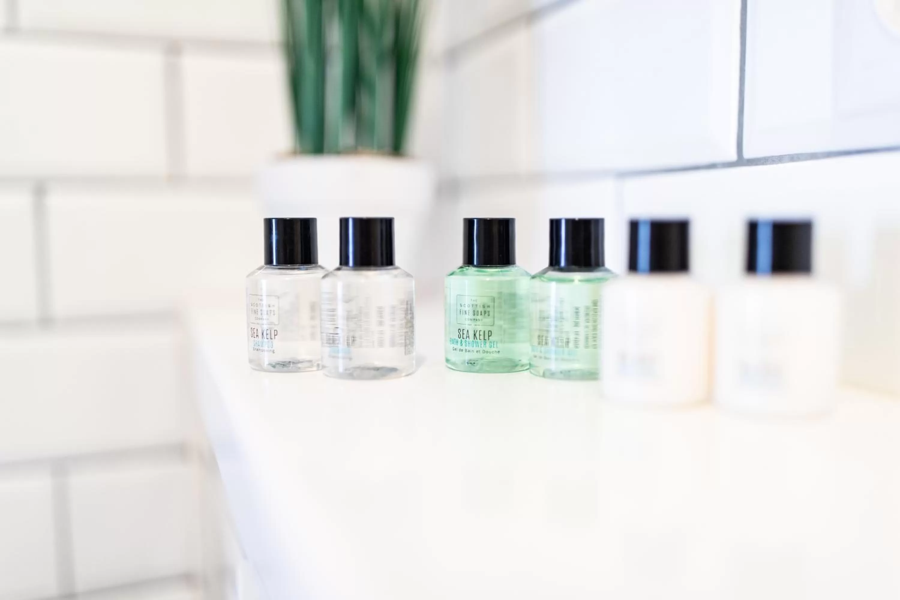 Decorative detail in ALBERT RESIDENCE with PARKING