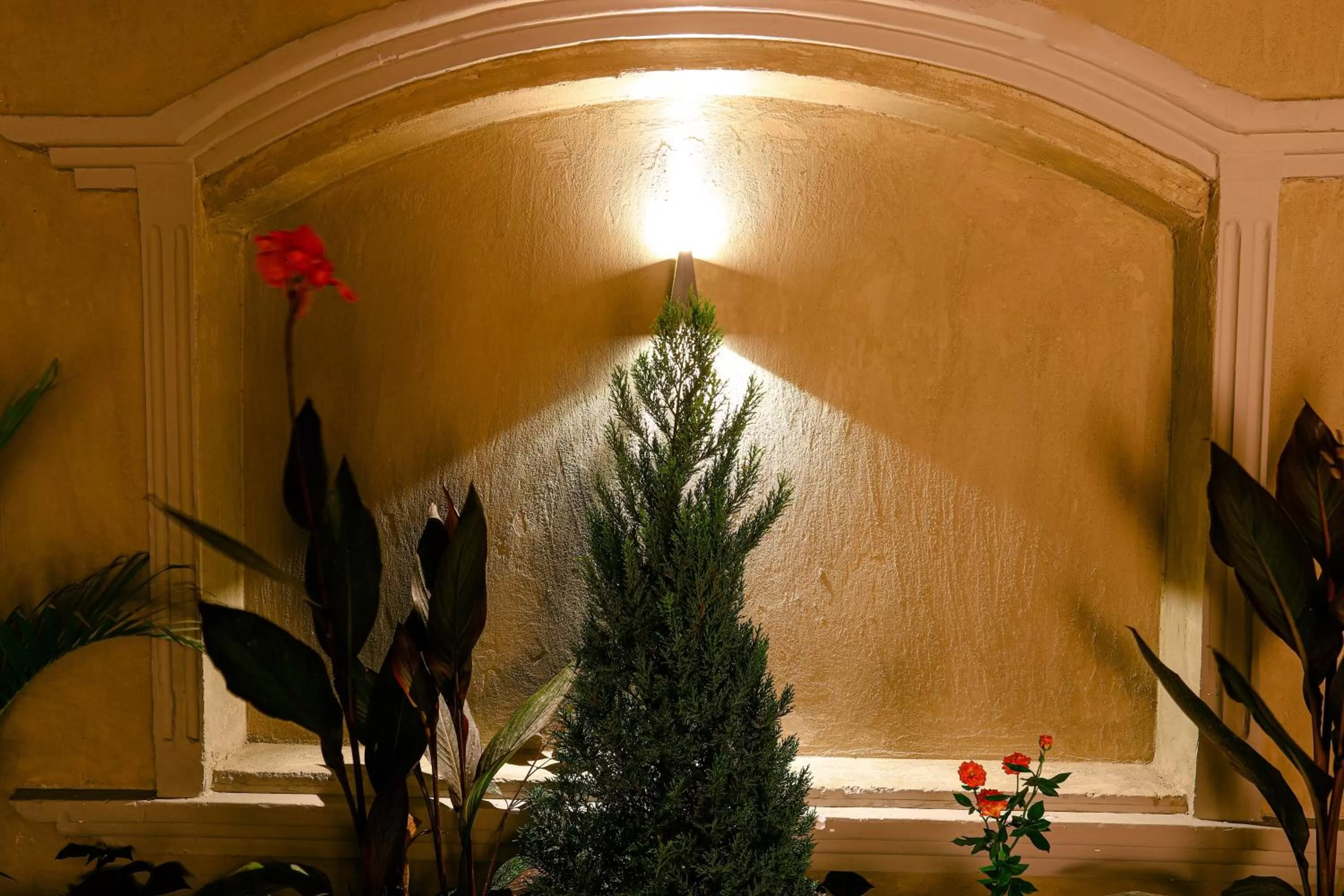 Garden in NewCity Hotel & Suites