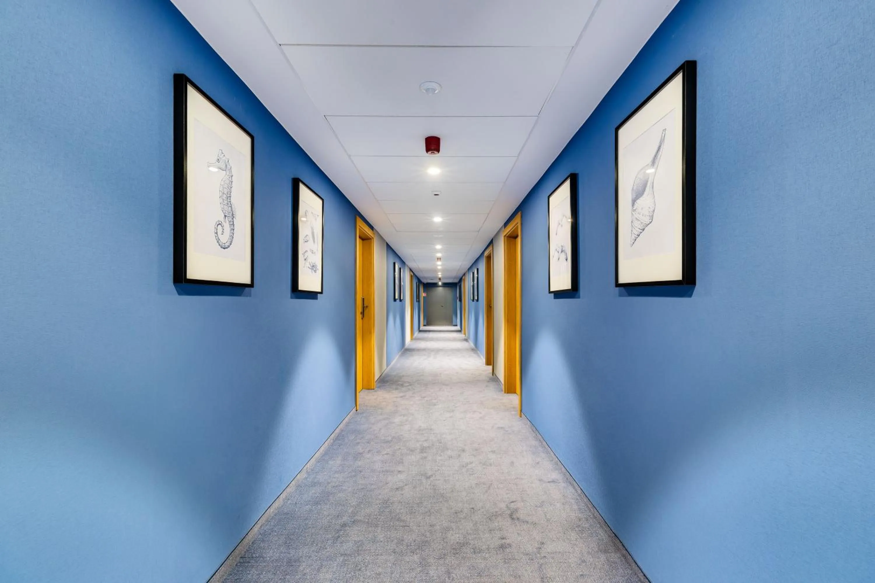 Property building in Best Western Hotel Jurata